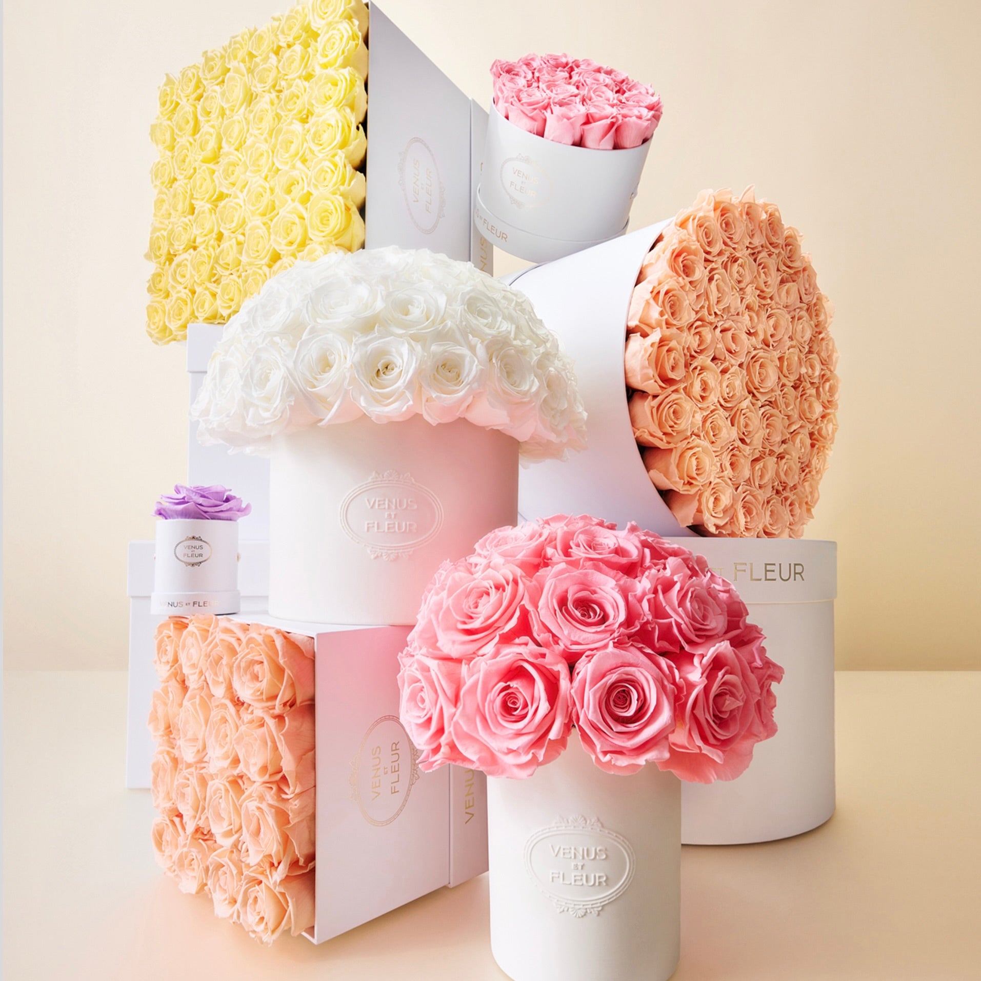 21___Spring_Multi_-_White_Classic_5-2.jpg