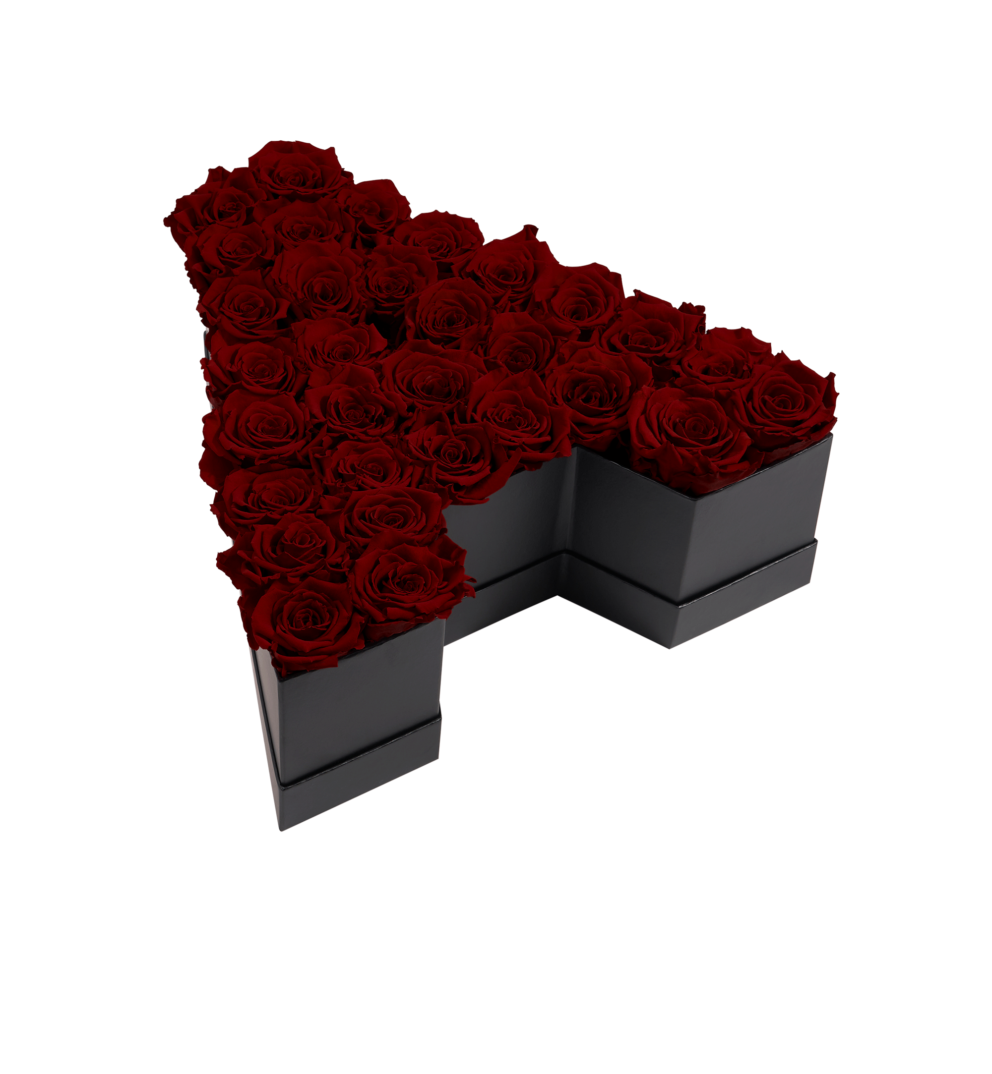 A_Burgundy-1.png