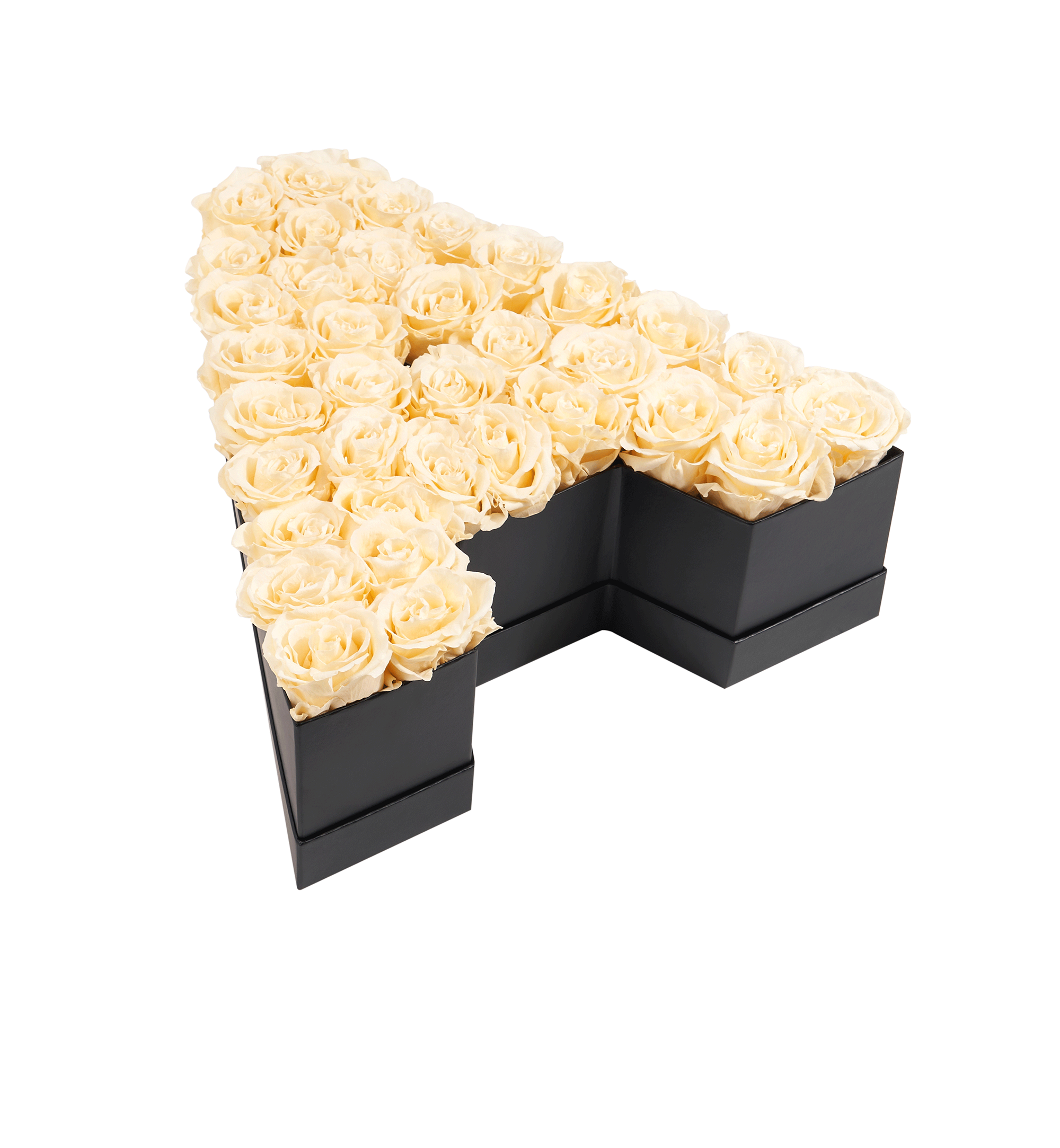 A_champagne-1.png