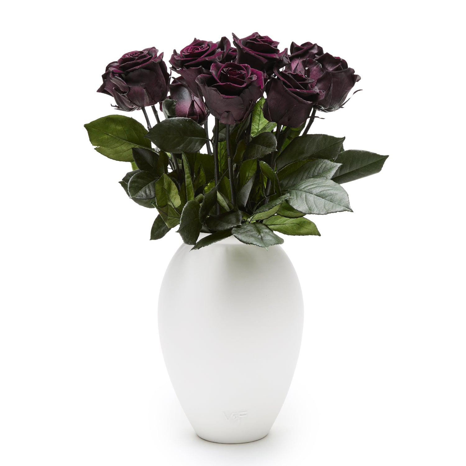 Amphora_WhitePorcelain_Blackberry_Roses_hero1.jpg