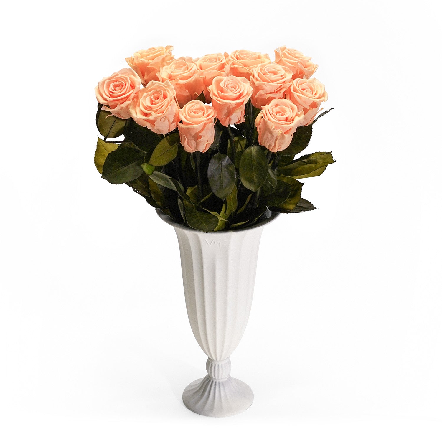 Aphrodite_peachnectar_2.jpg