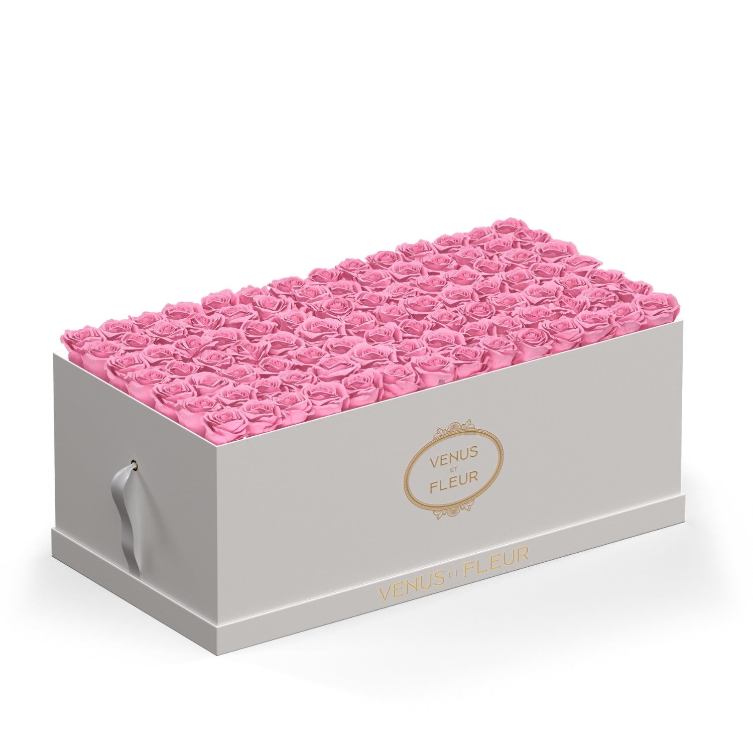Bridal_Pink_leduojpg.jpg