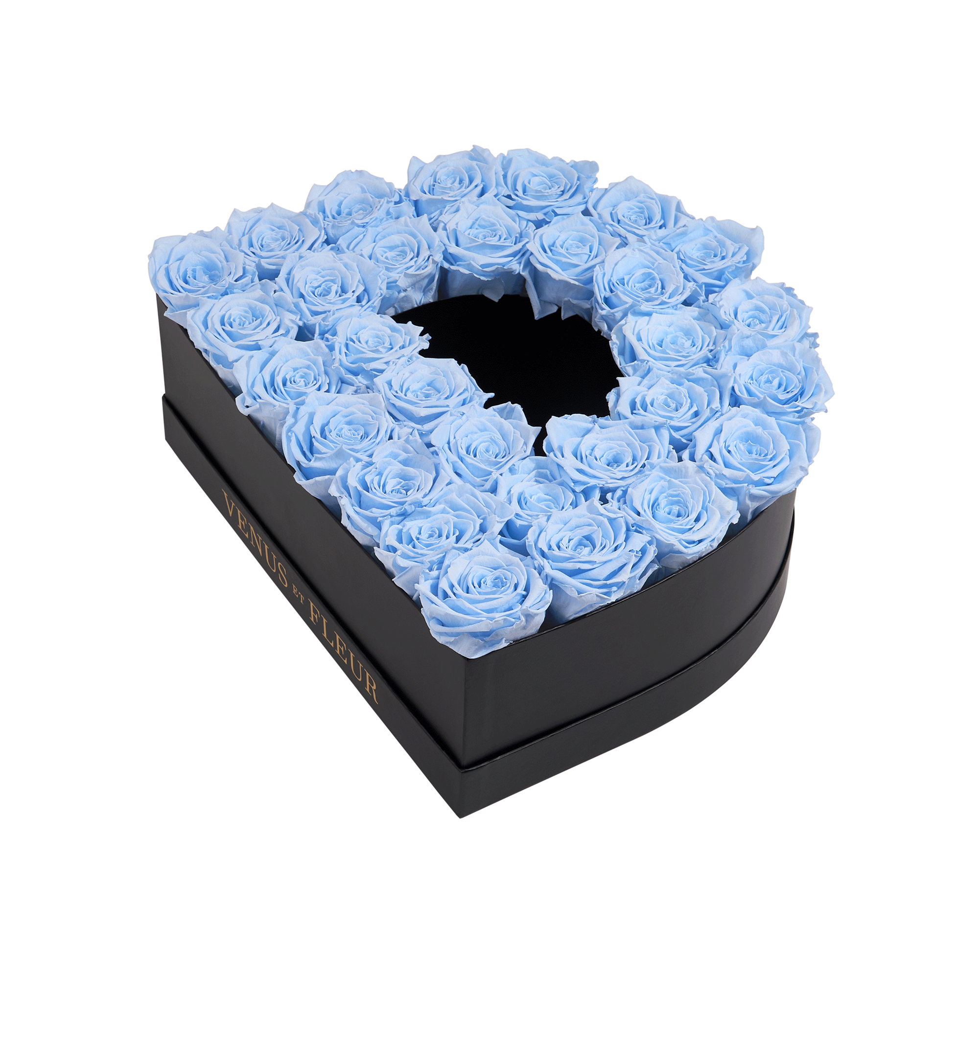 D_babyblue.png