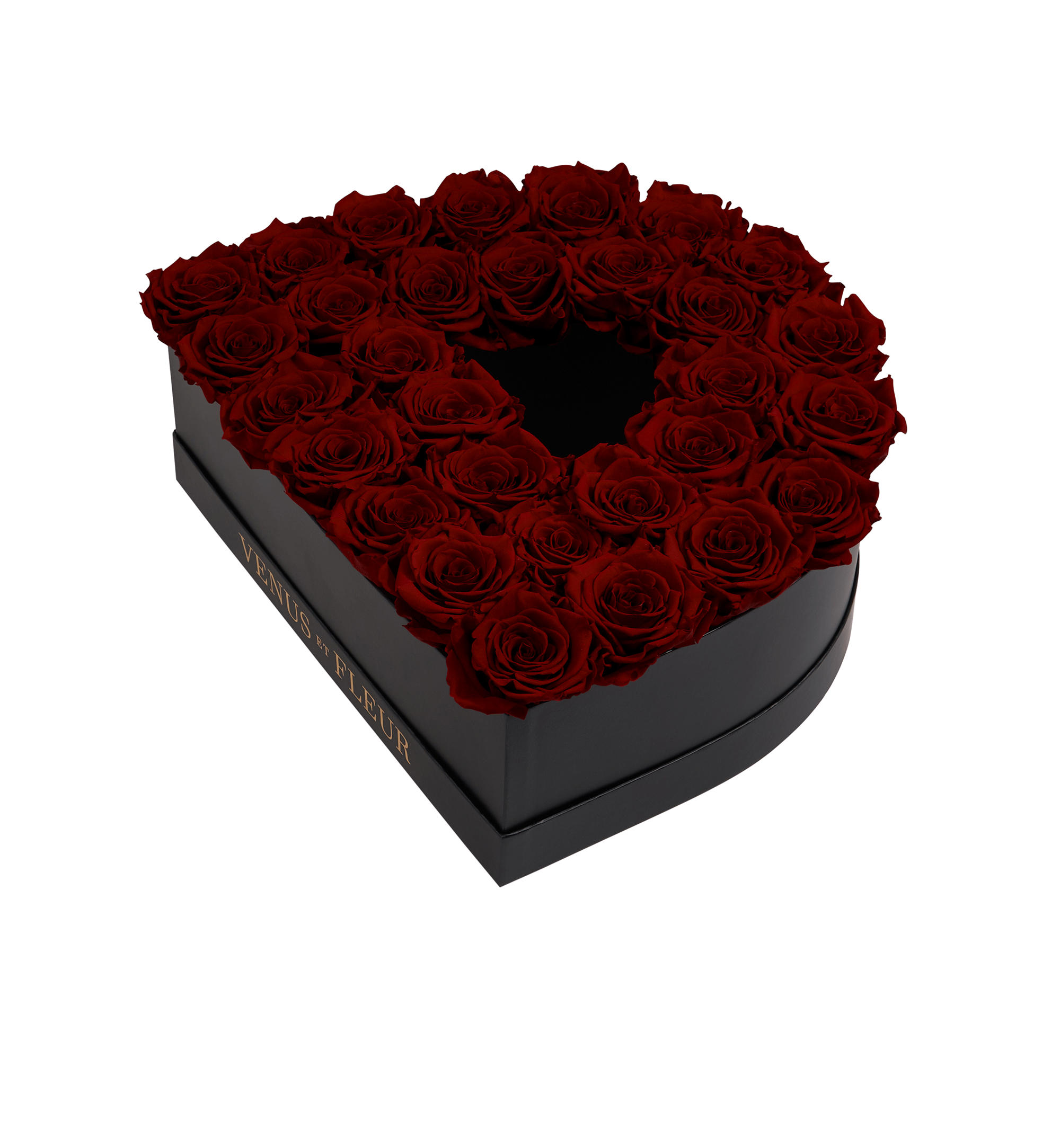 D_burgundy.png