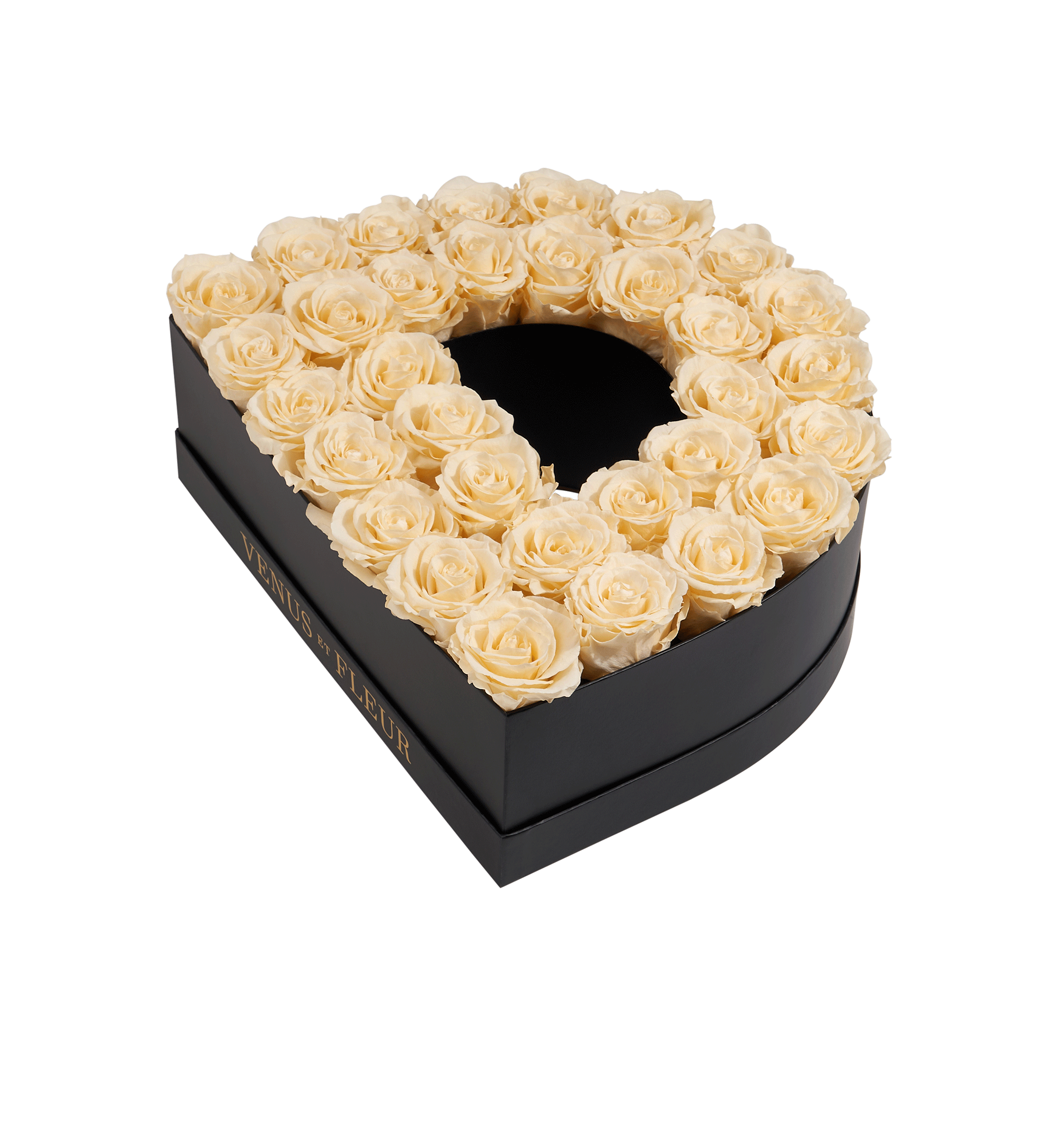 D_champagne.png