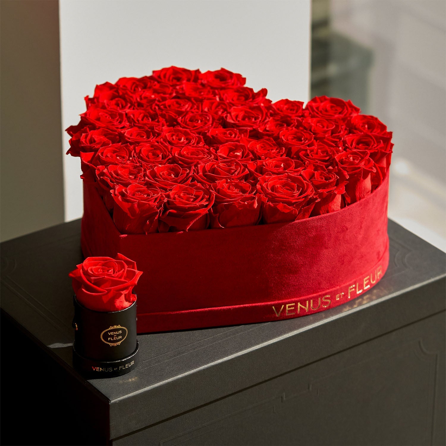Evergreen-NovemberShoot0122-1.jpg