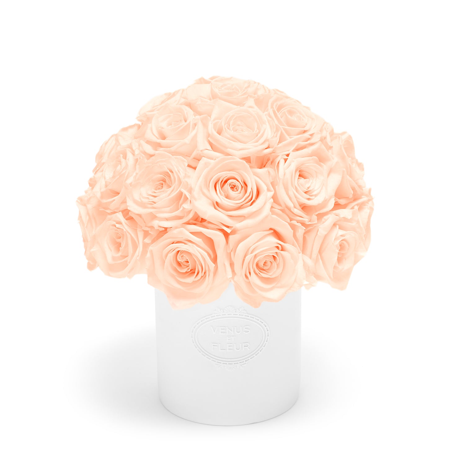 FLEURA_Roses_Blush_001-2.jpg