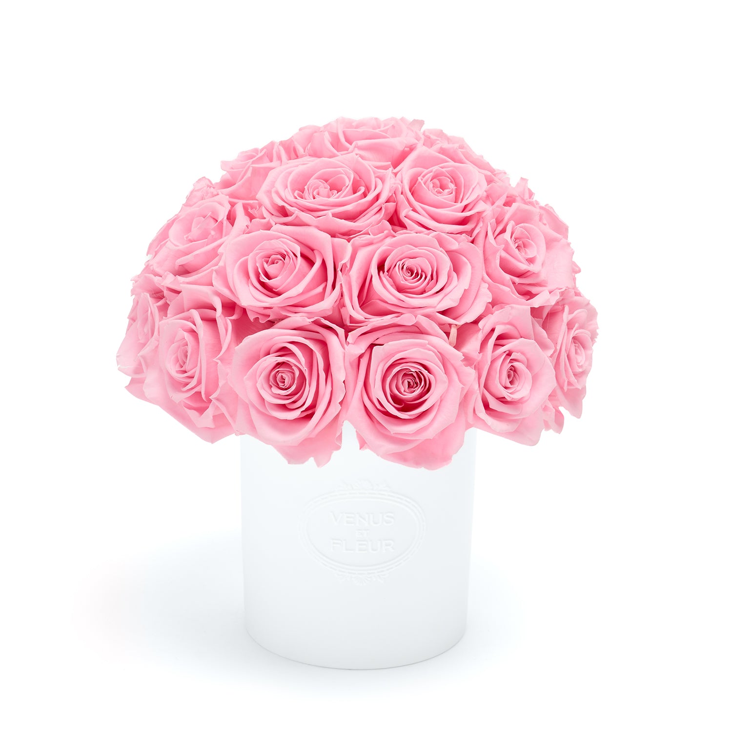 FLEURA_Roses_Pink_001-1.jpg
