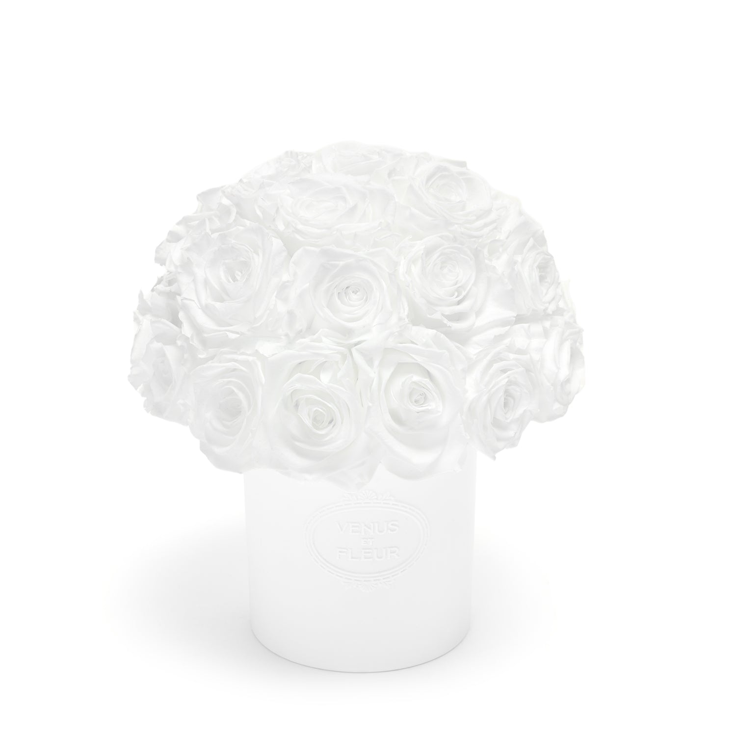 FLEURA_Roses_PureWhite_hero1_84ea5aa3-3804-424f-a96a-752836691eee-2.jpg