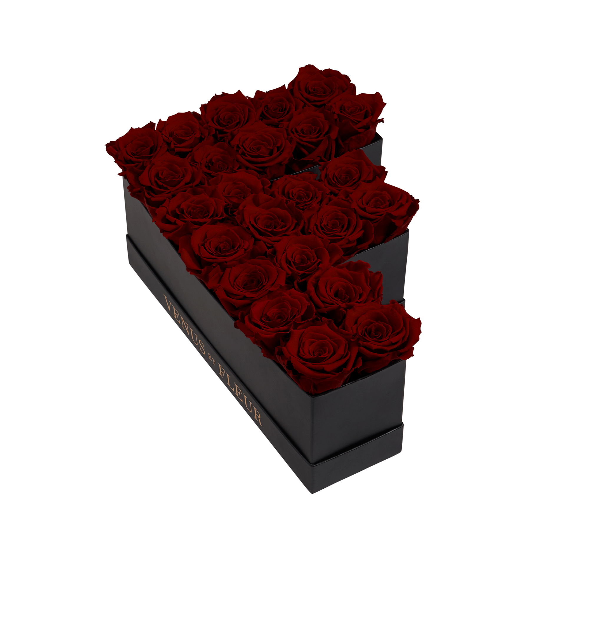 F_burgundy.png