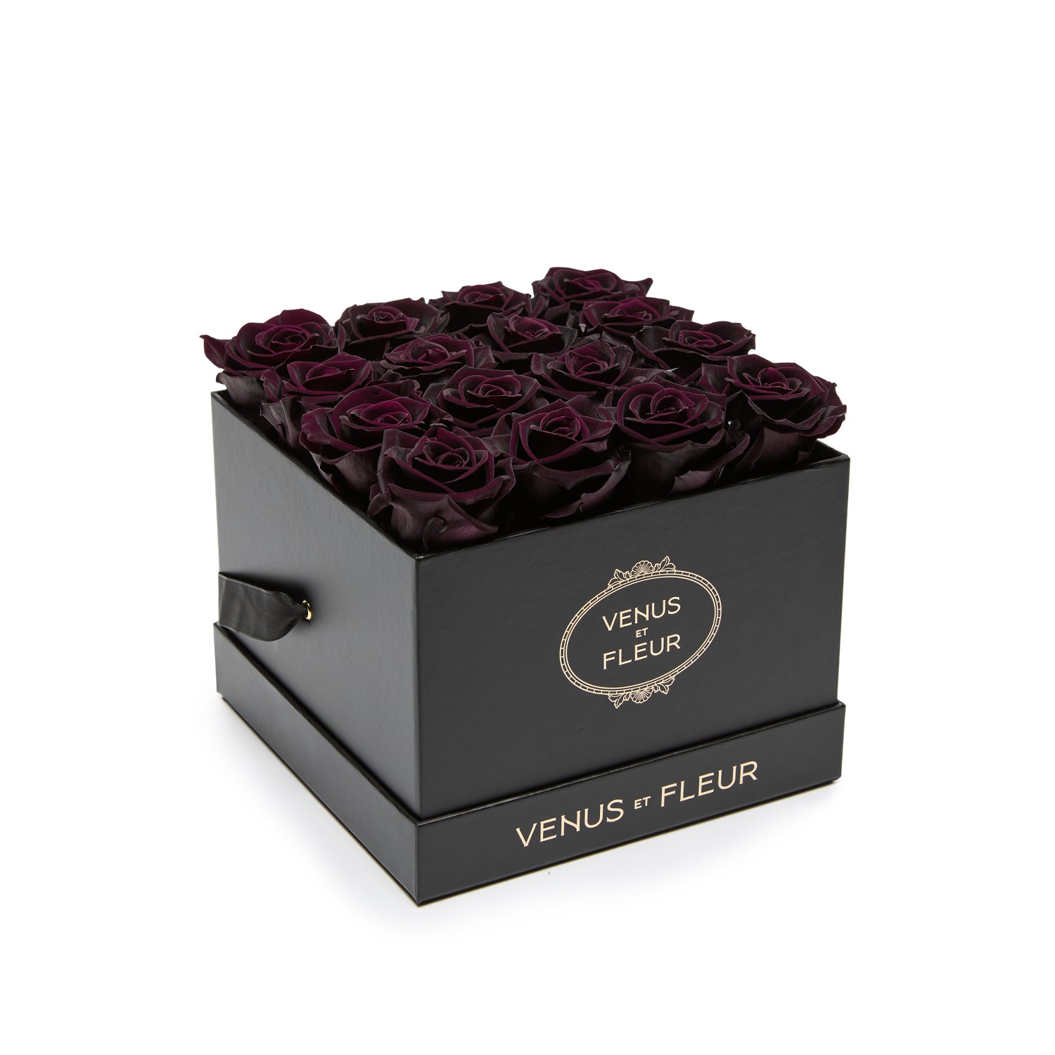 HatBox_SmallSquare_Blackberry_Roses_hero1.jpg
