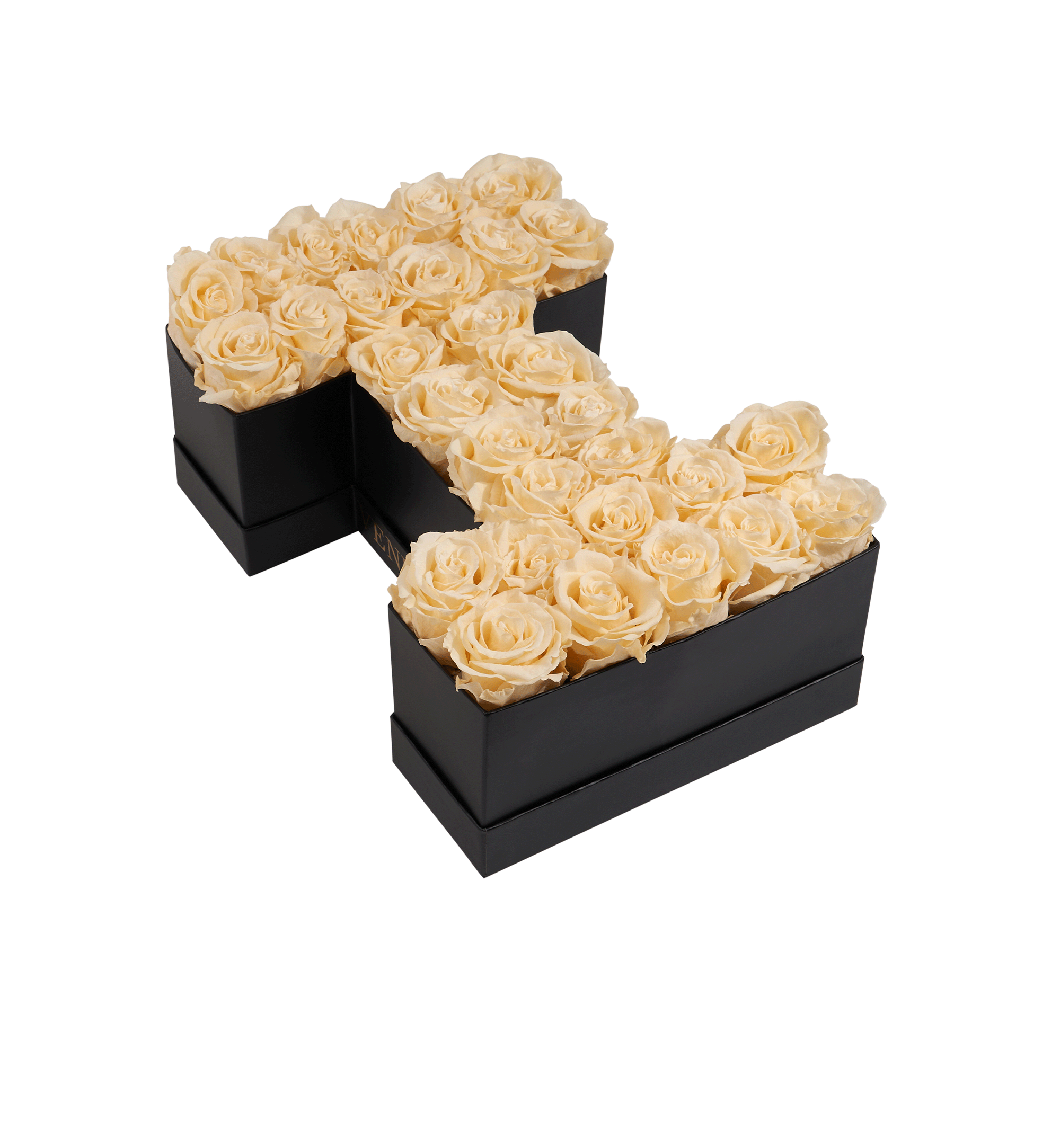 I_champagne.png
