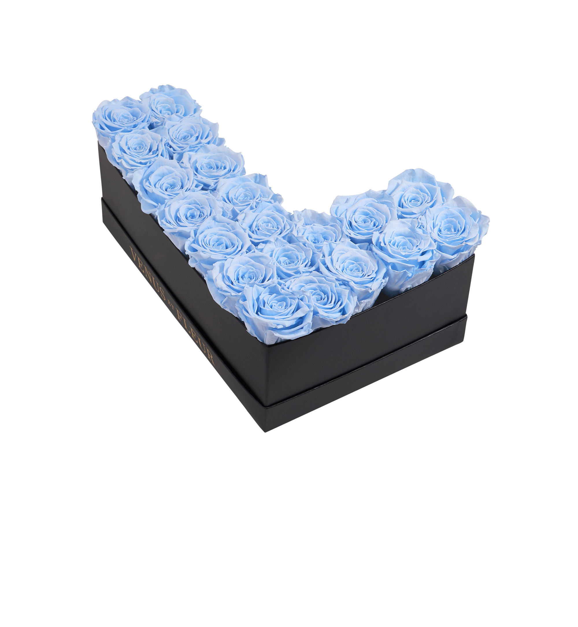 L_babyblue.png