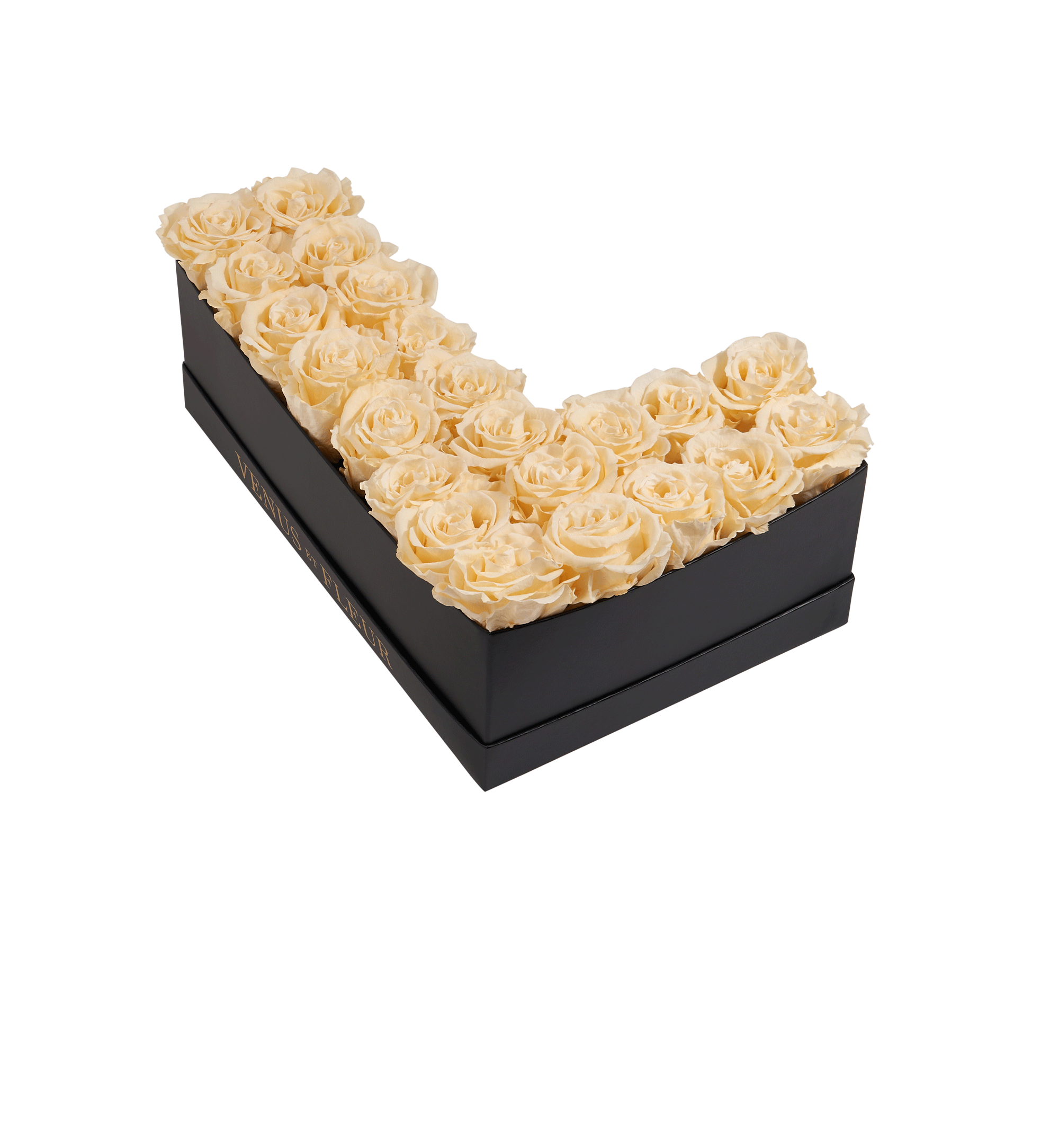 L_champagne.png