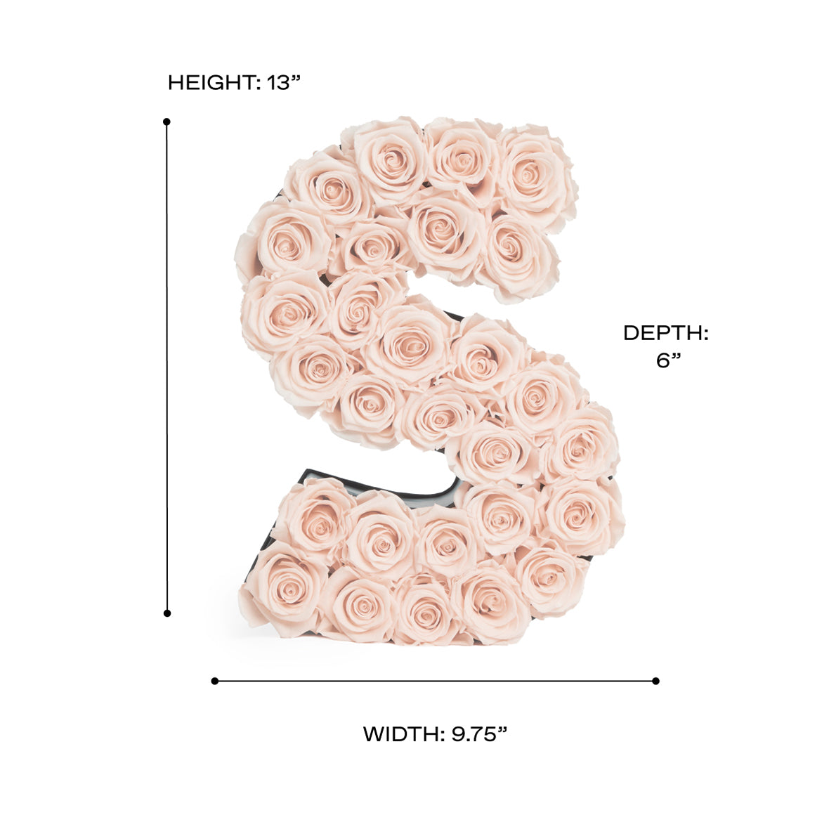 LeGrandLetter_S_Scale.jpg