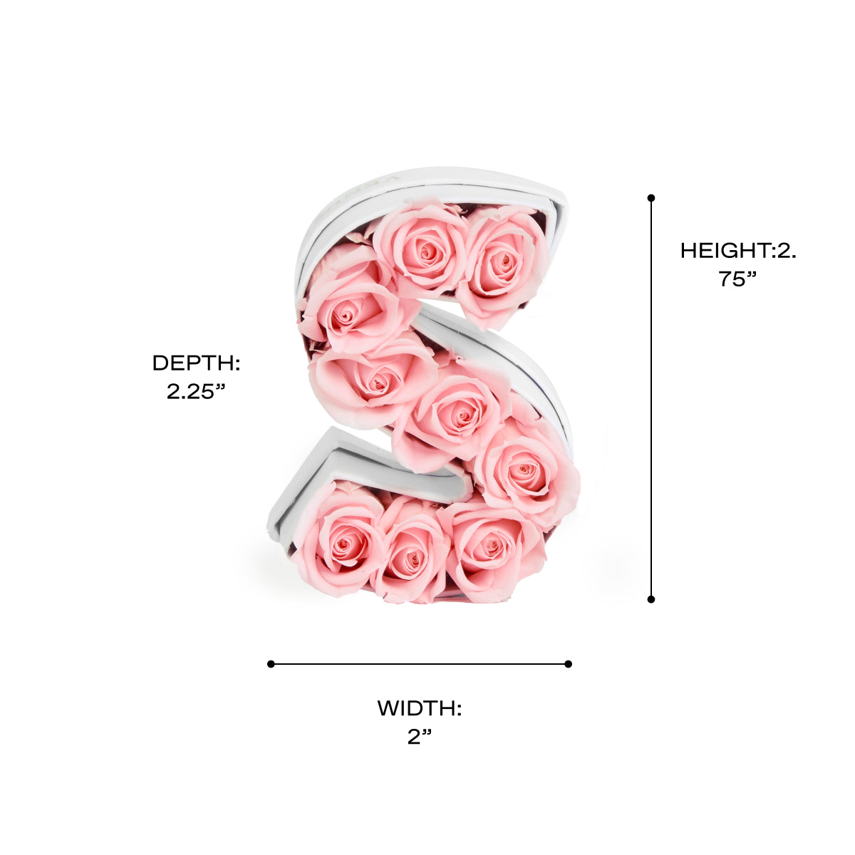 LeMiniLetter_S_Scale.jpg