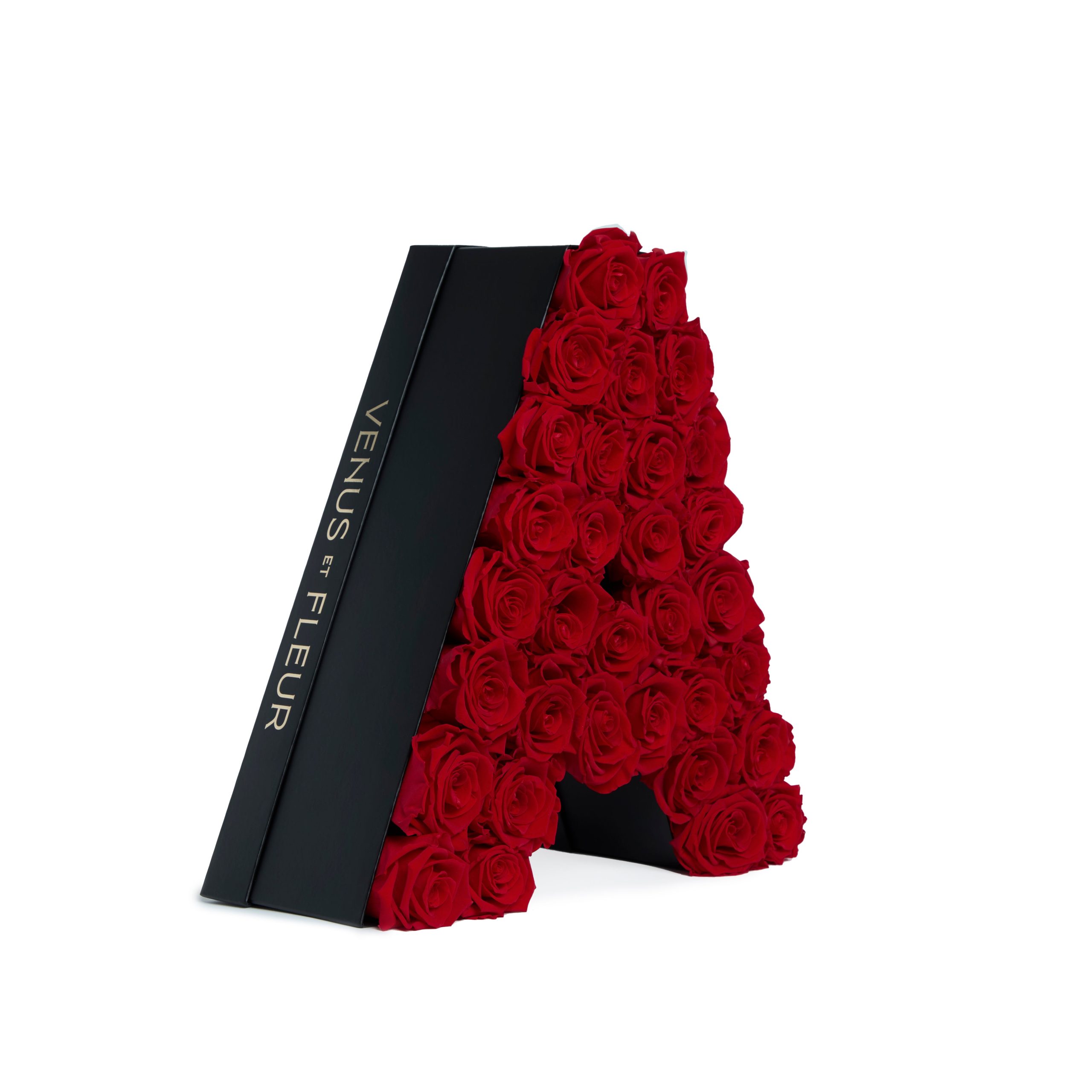 Le_Grand_Letter_A_Red_3Q-scaled-1.jpg