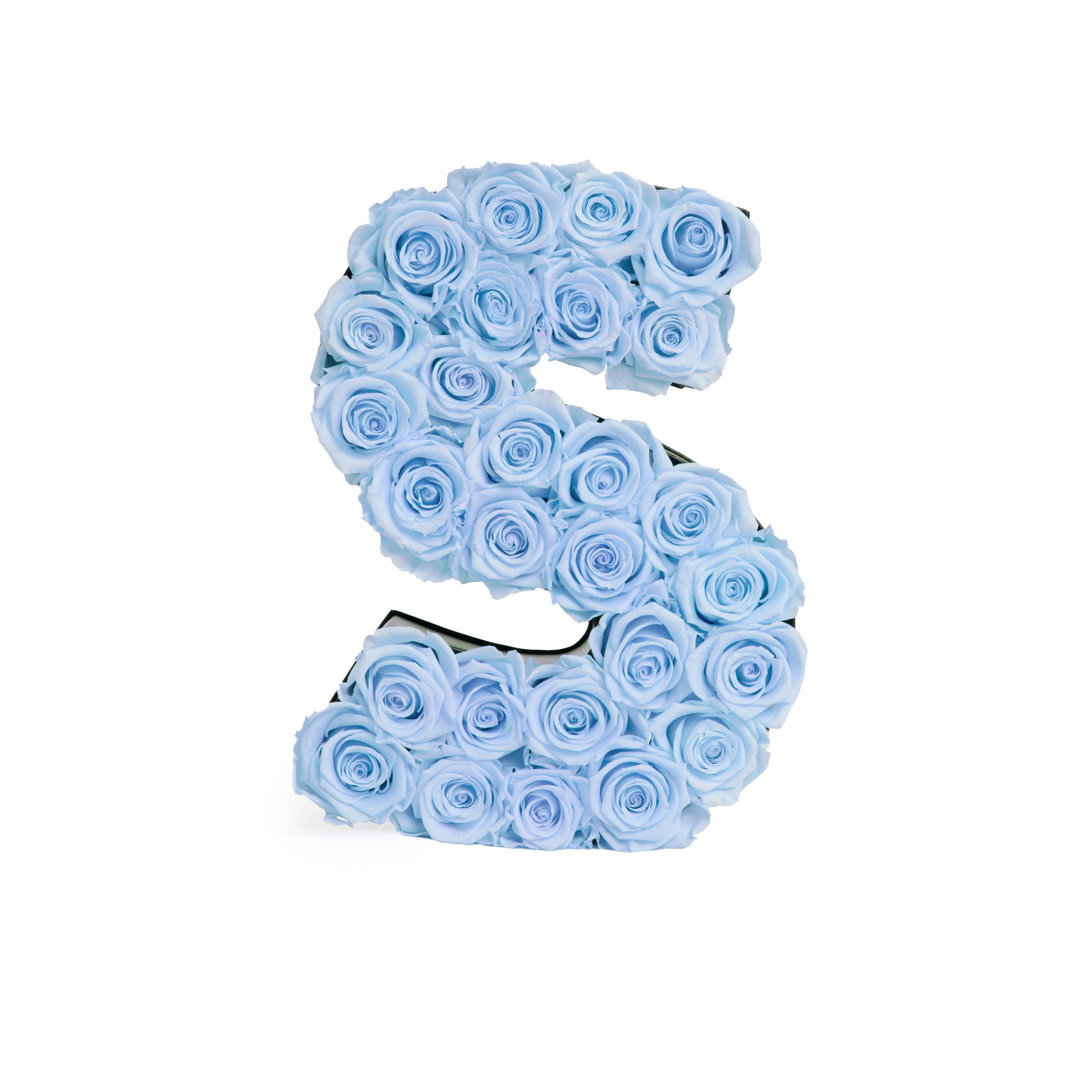 Le_Grand_Letter_S_BabyBlue_Front_tif-scaled-1.jpg