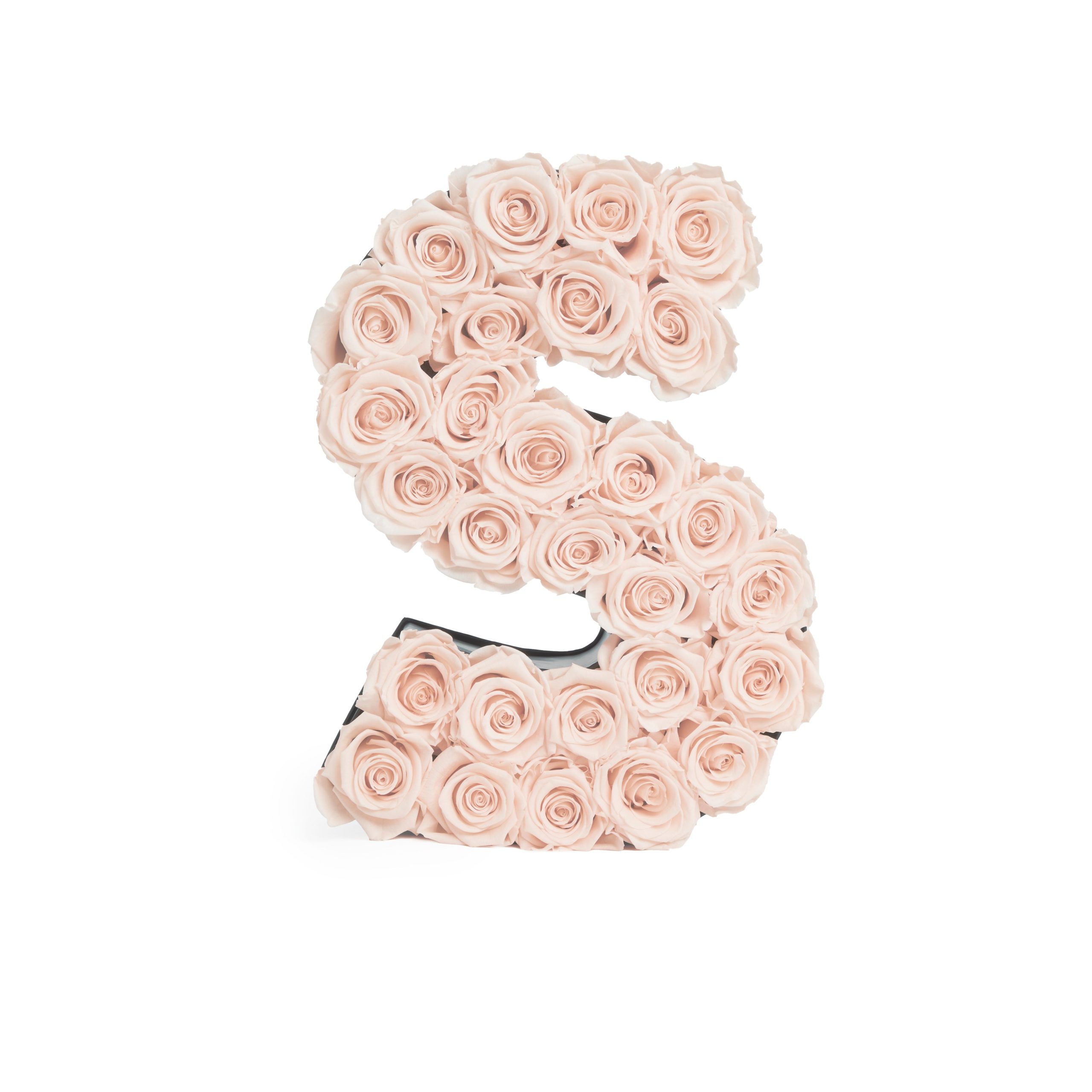 Le_Grand_Letter_S_Blush_Front-scaled-1.jpg