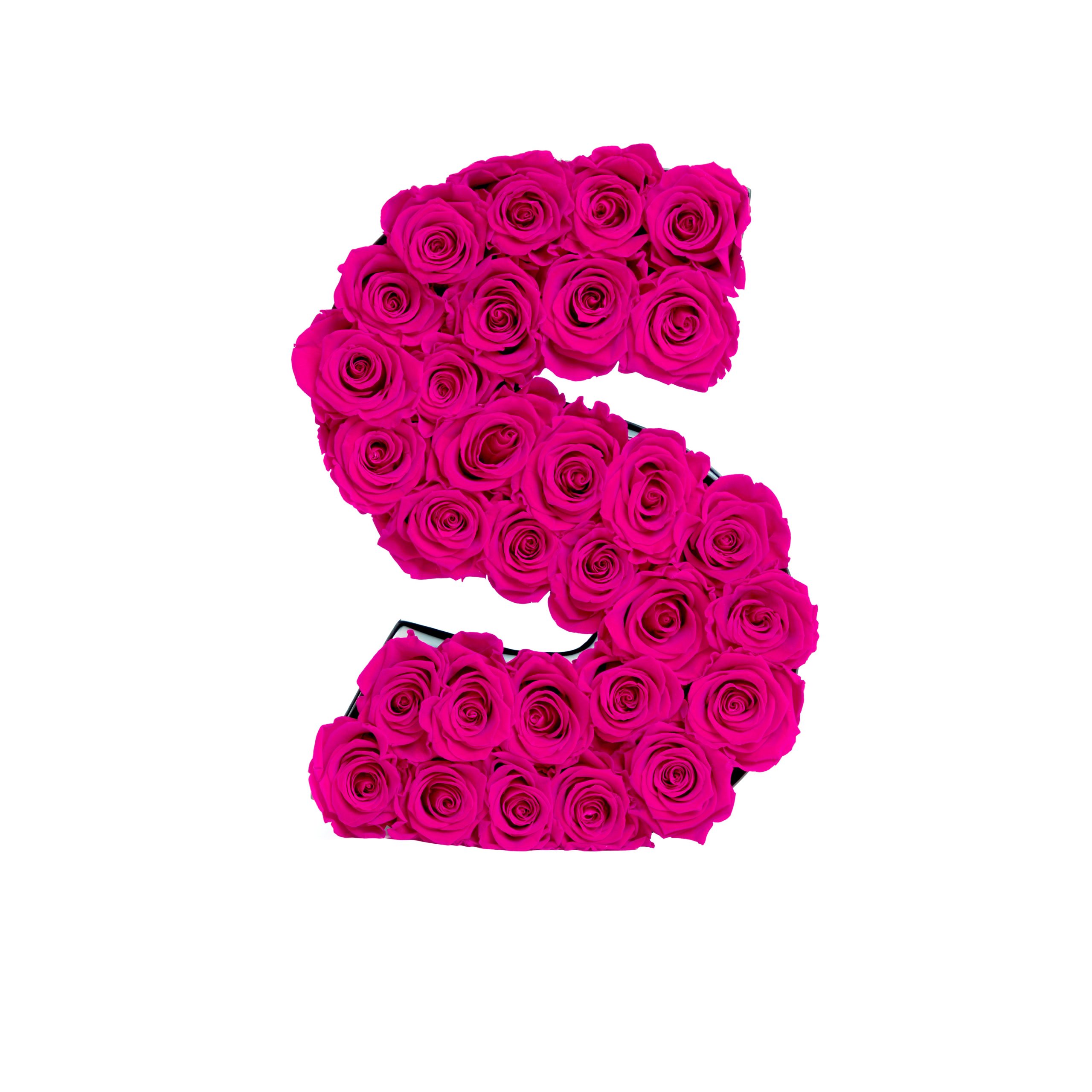 Le_Grand_Letter_S_HotPink_Front-scaled-1.jpg