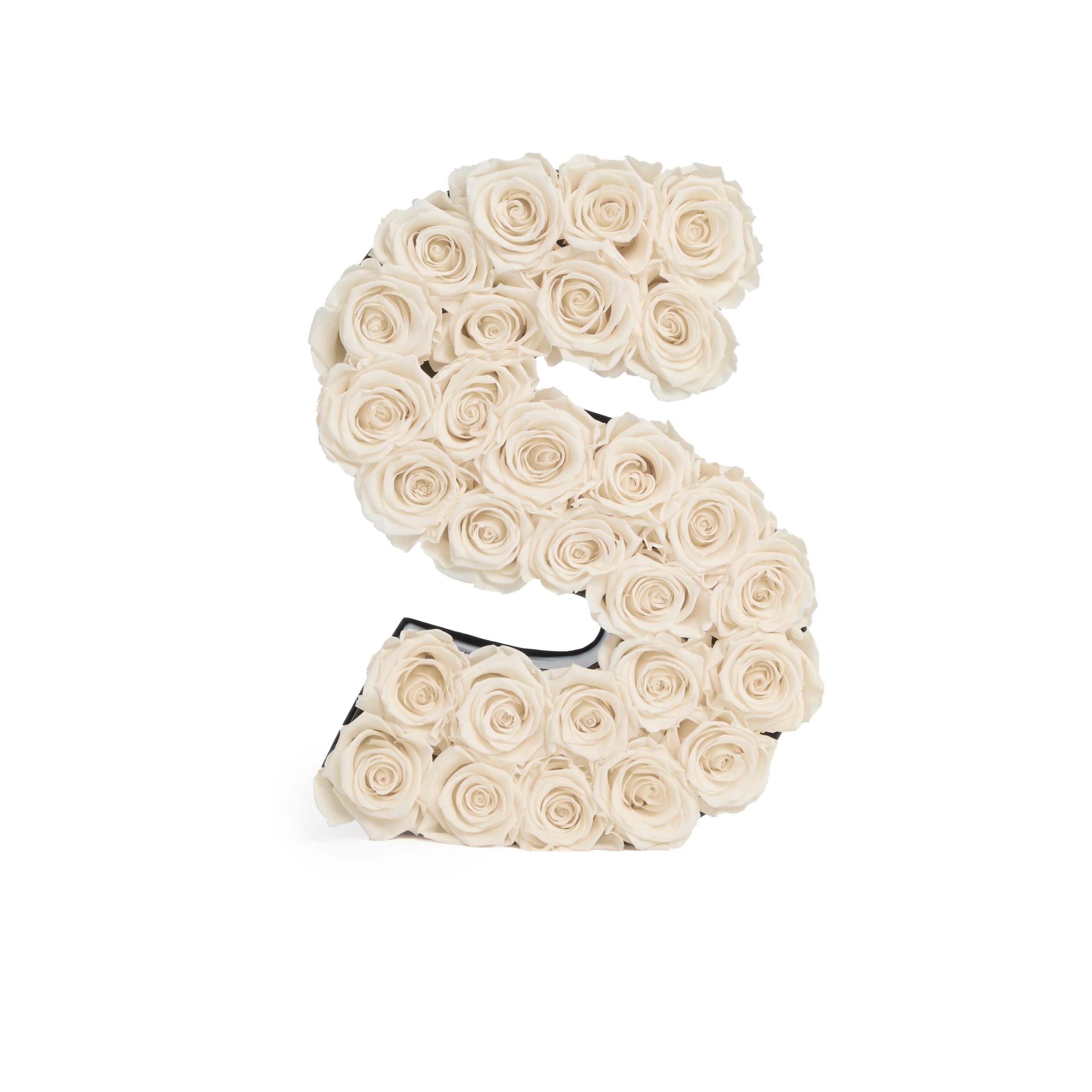 Le_Grand_Letter_S_Pearl_Front-scaled-1.jpg