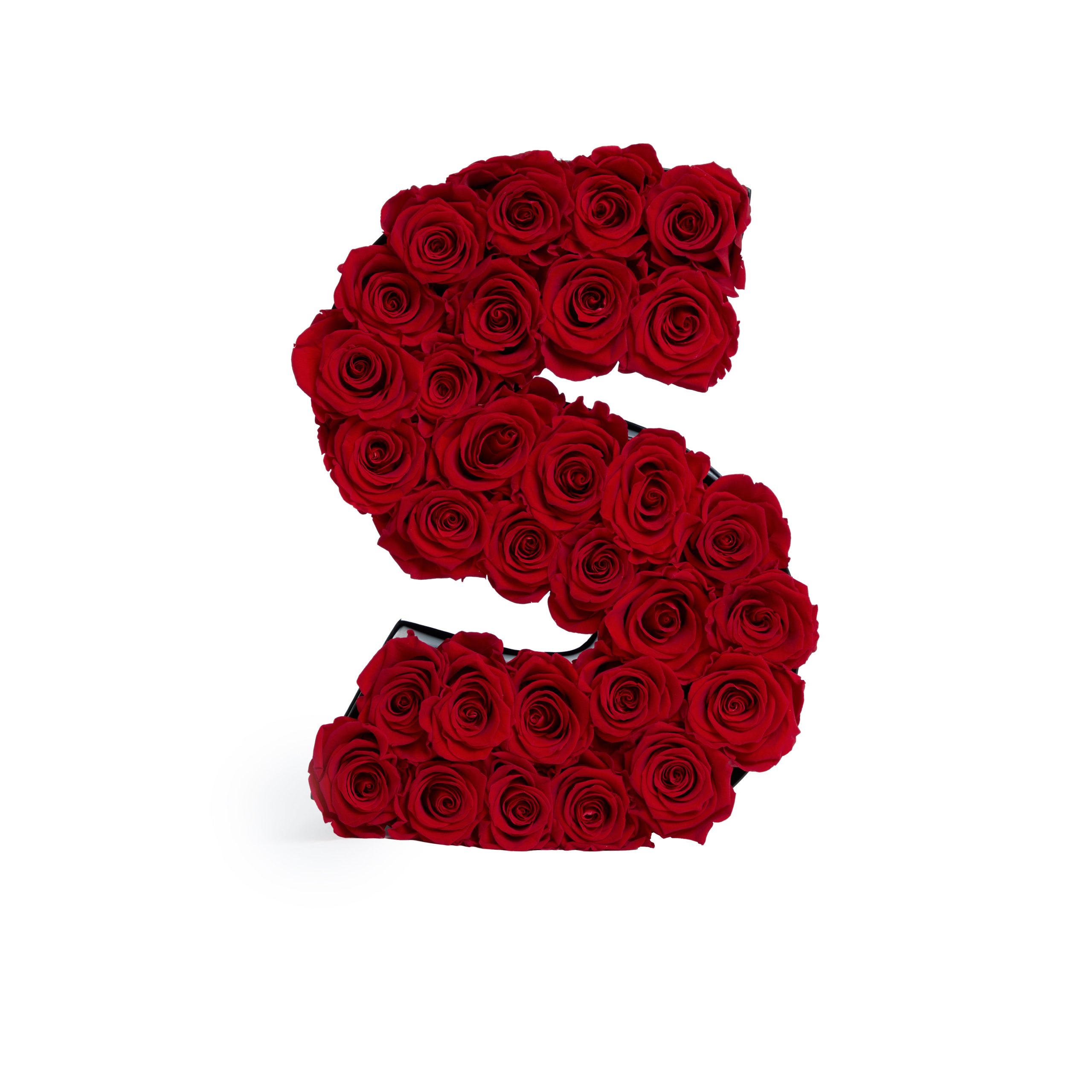 Le_Grand_Letter_S_Red_Front-scaled-1.jpg
