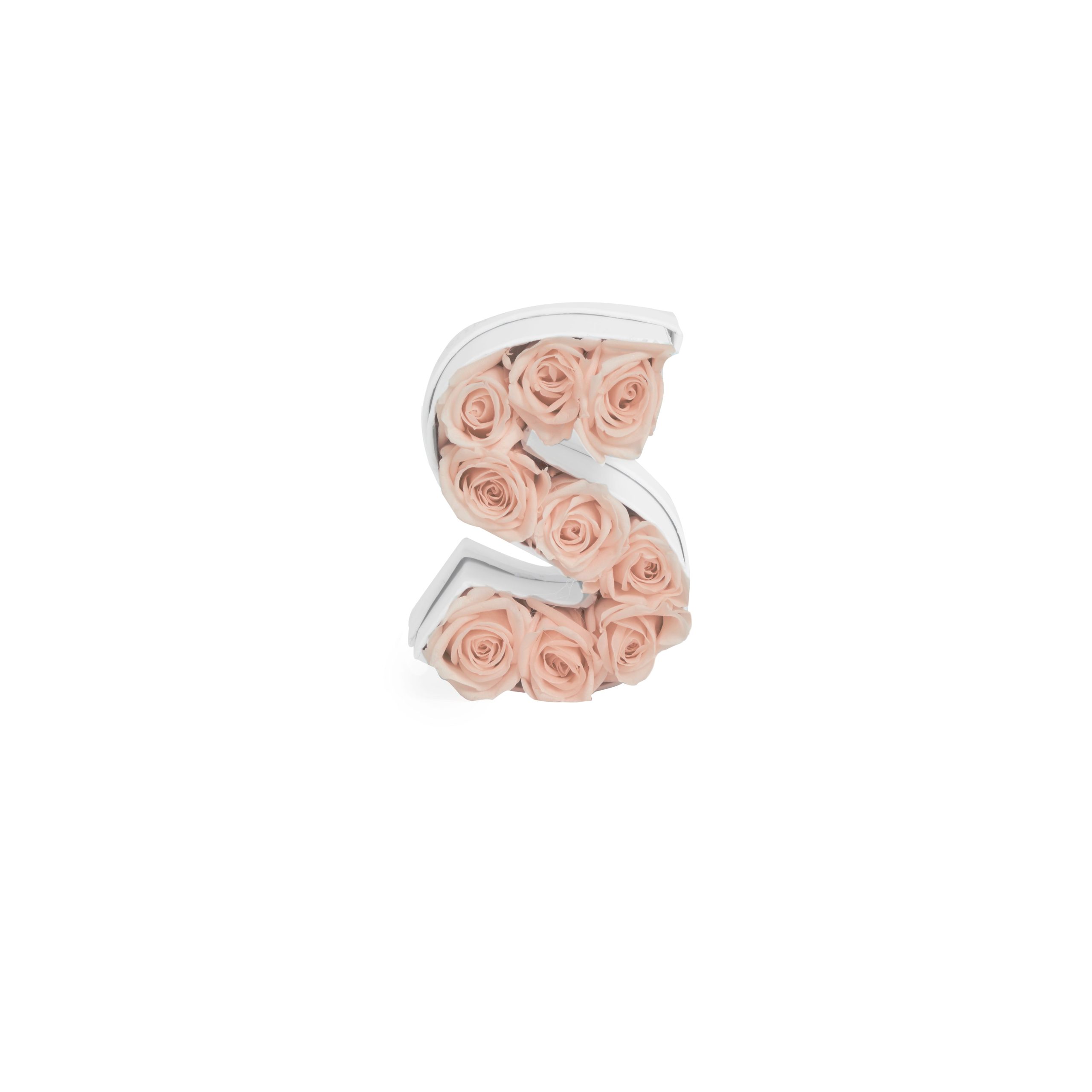 Le_Mini_Letter_S_Blush_Front-scaled-1.jpg