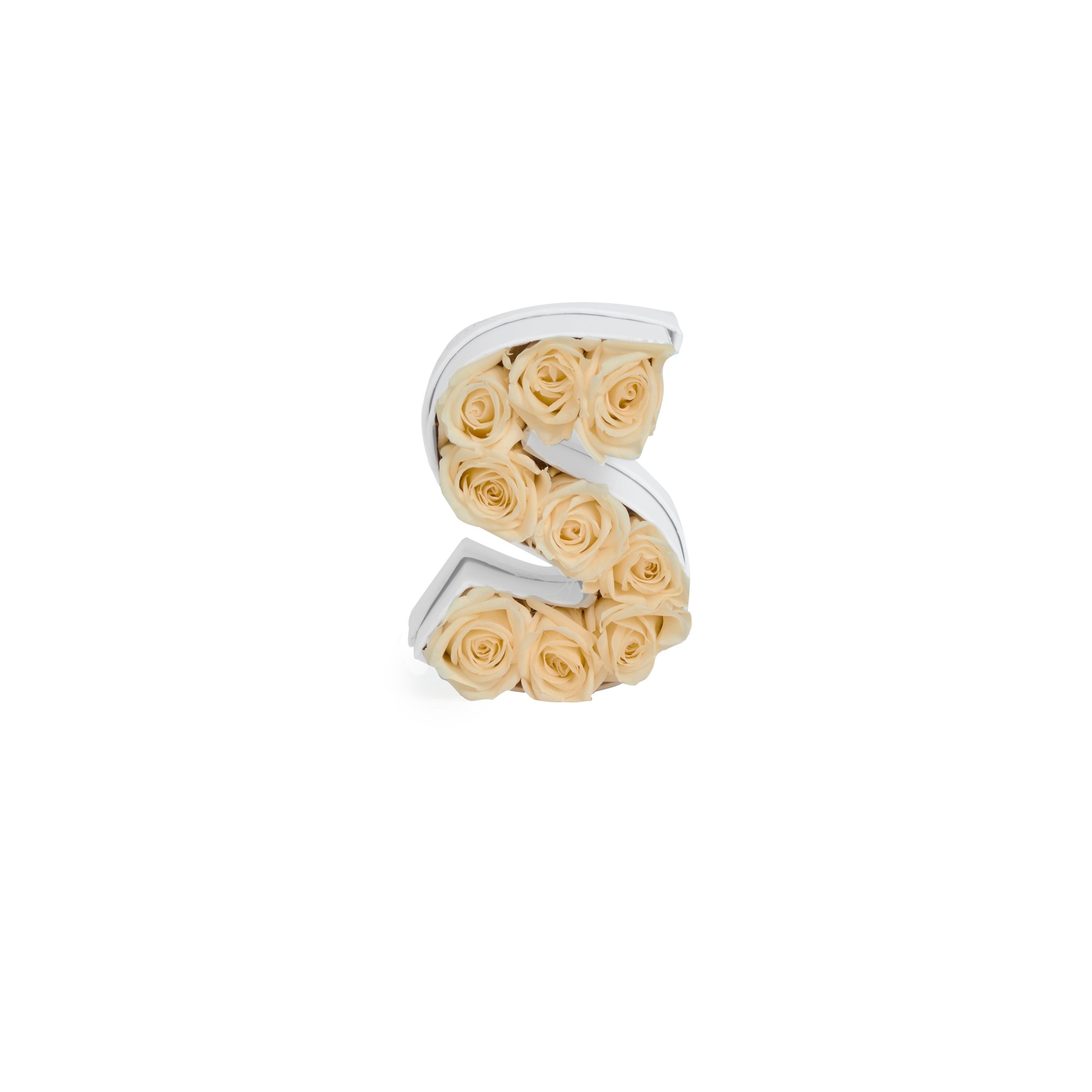 Le_Mini_Letter_S_Champagne_Front-scaled-1.jpg