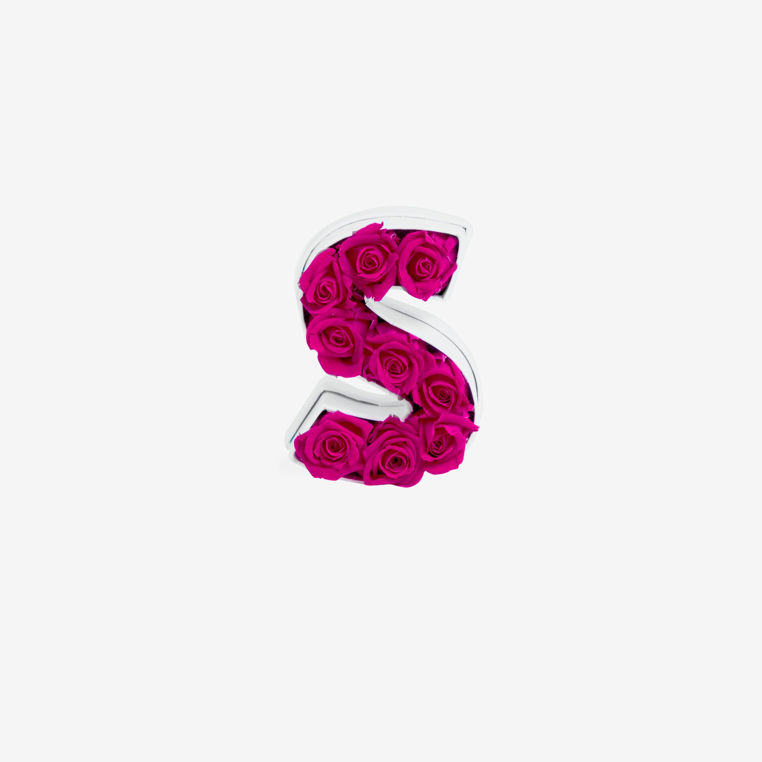 Le_Mini_Letter_S_HotPink_Front-scaled-1.jpg