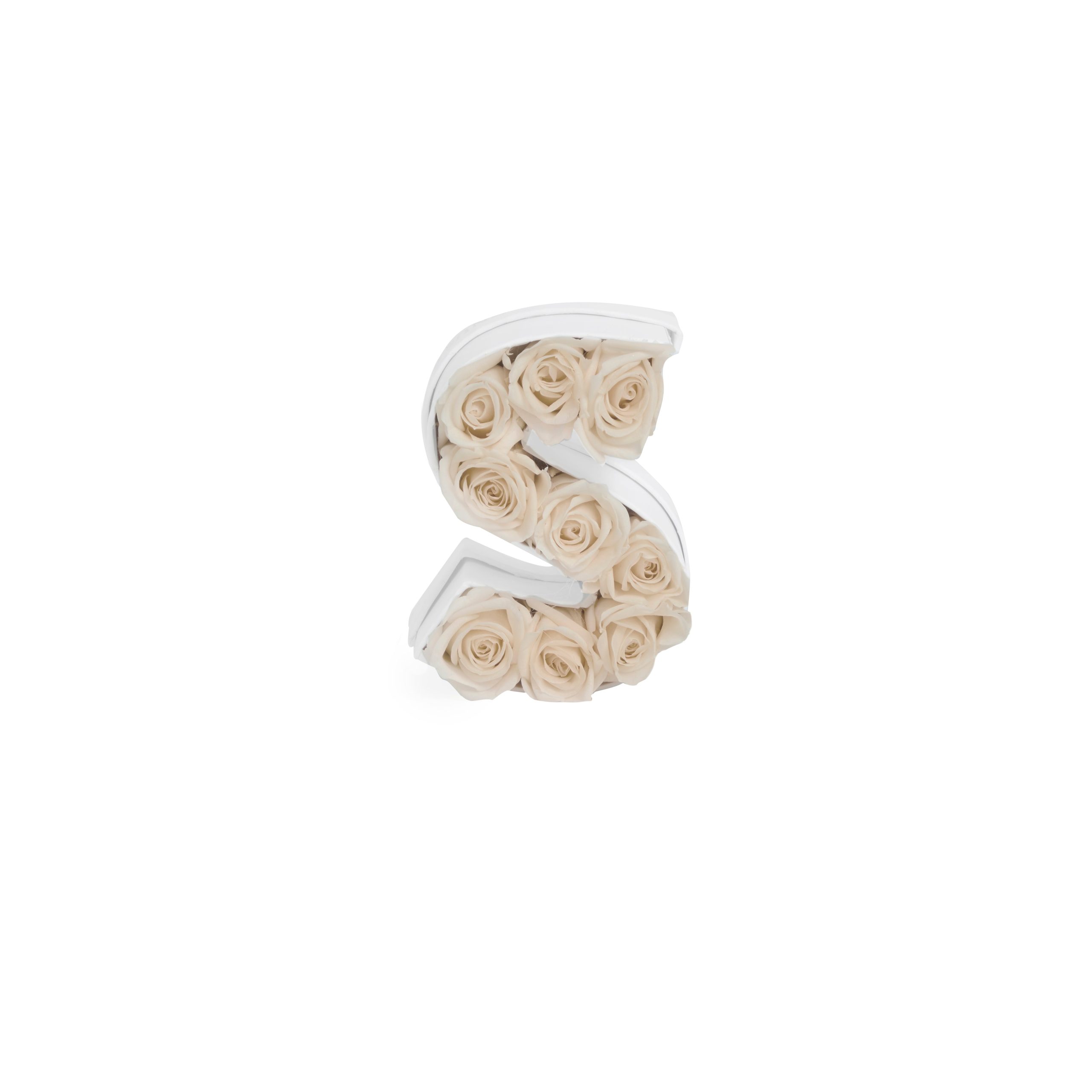 Le_Mini_Letter_S_Pearl_Front-scaled-1.jpg