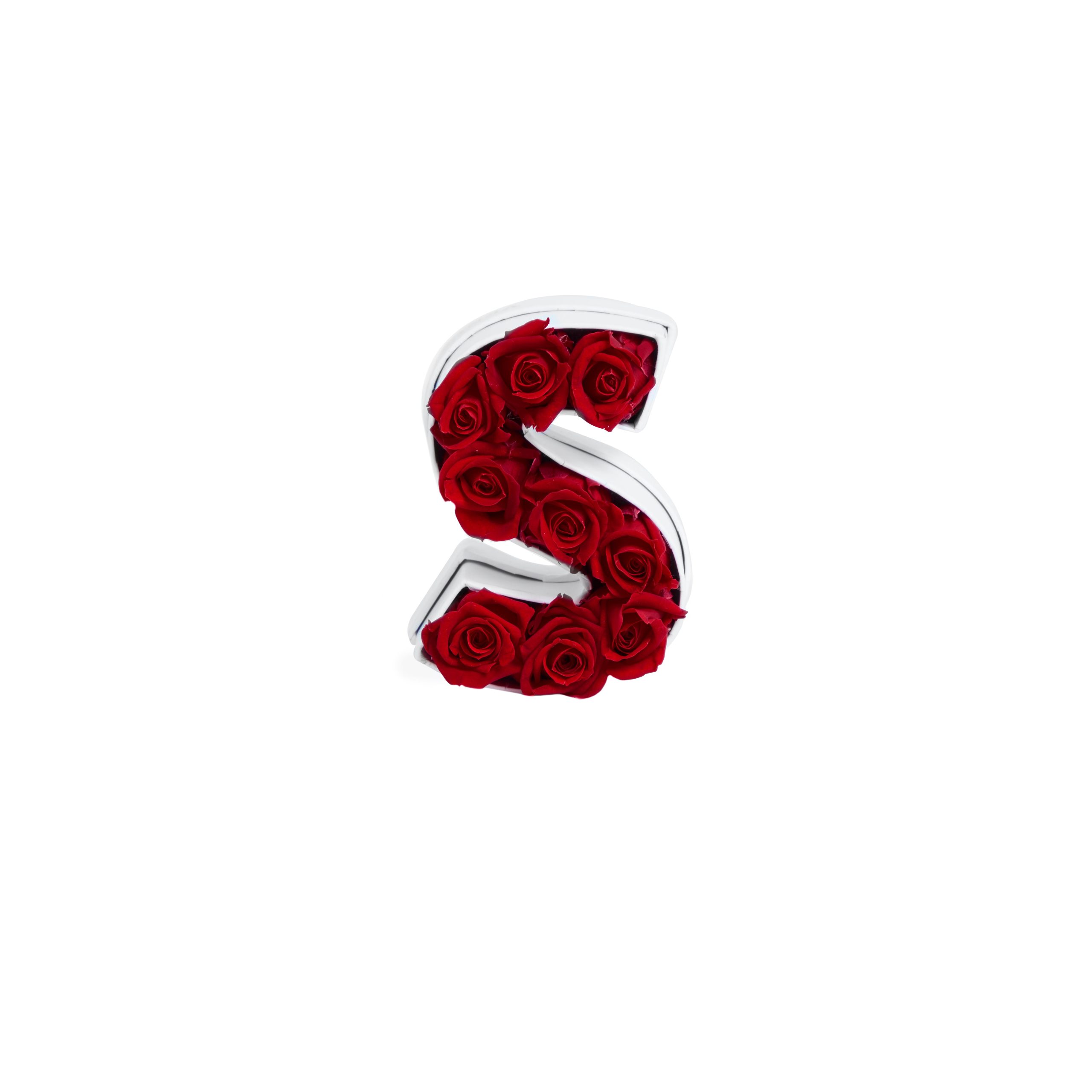 Le_Mini_Letter_S_Red_Front-scaled-1.jpg