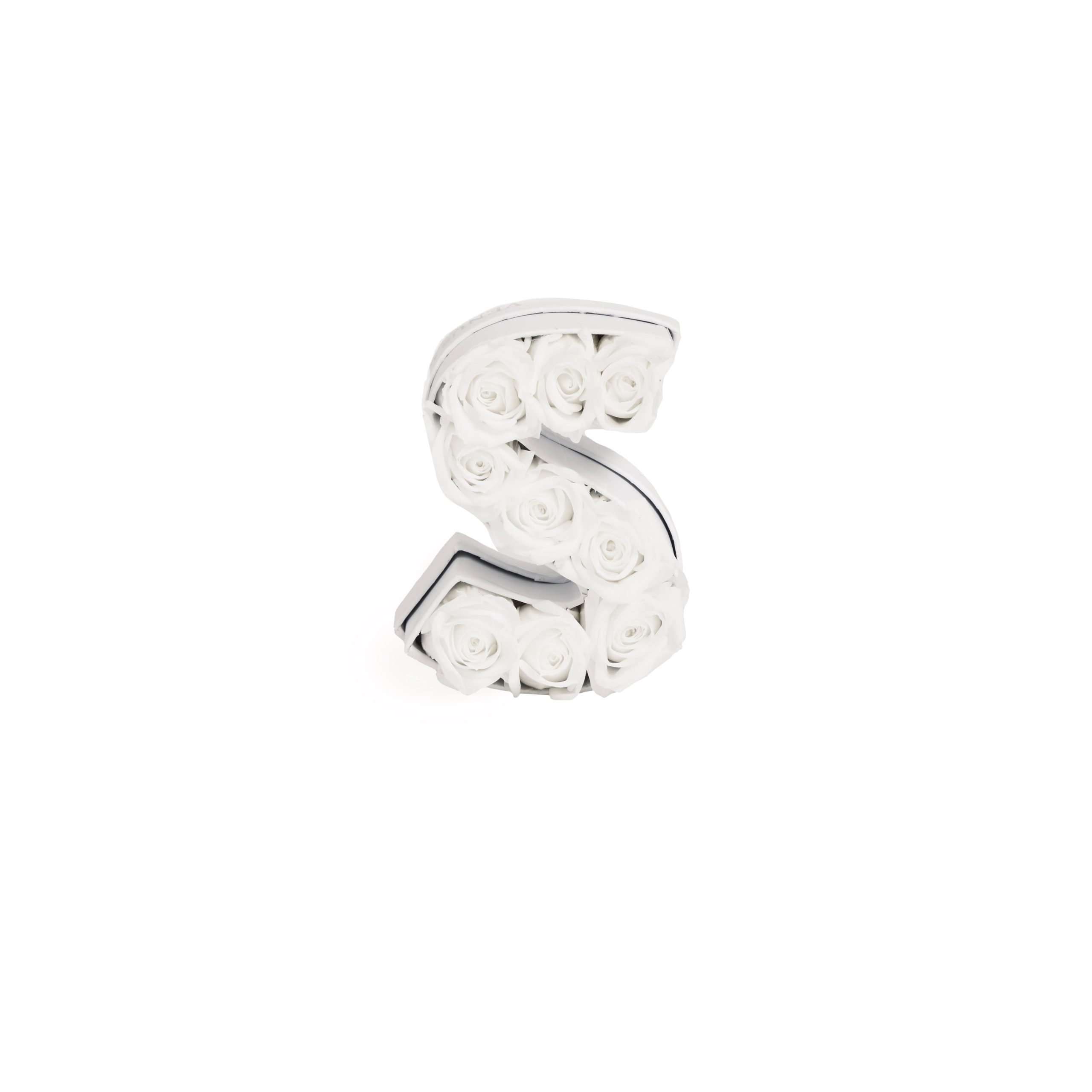 Le_Mini_Letter_S_White_Front-scaled-1.jpg