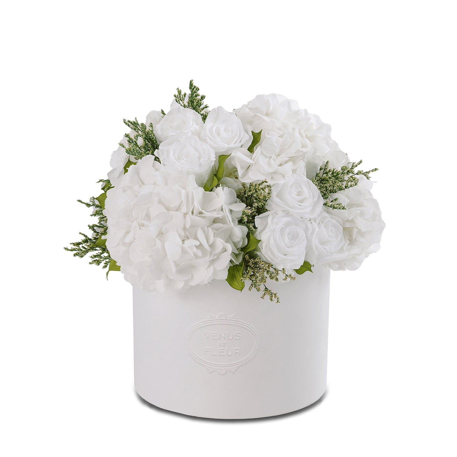 MOTHERS-DAY-2025-BABY-POWDER-HYDRANGEA-THALIA-SILO.jpg