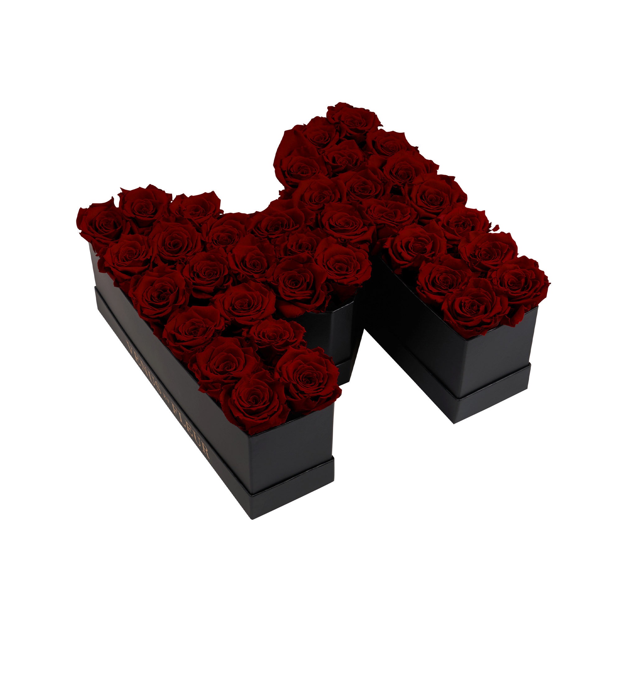 M_burgundy.png