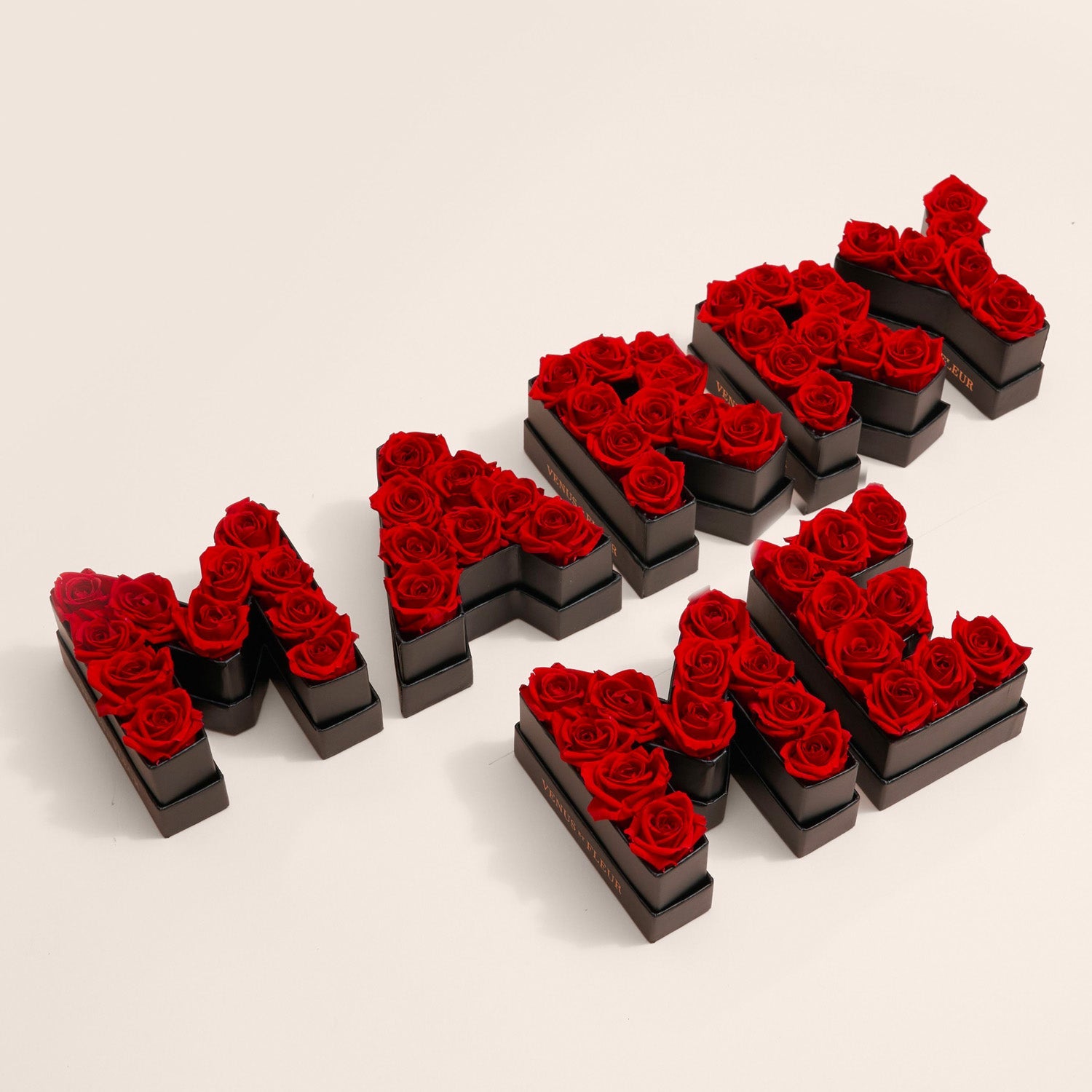 MiniLetter-M2_059bb43f-a270-46b4-83b2-c18a3f36dc4f.jpg