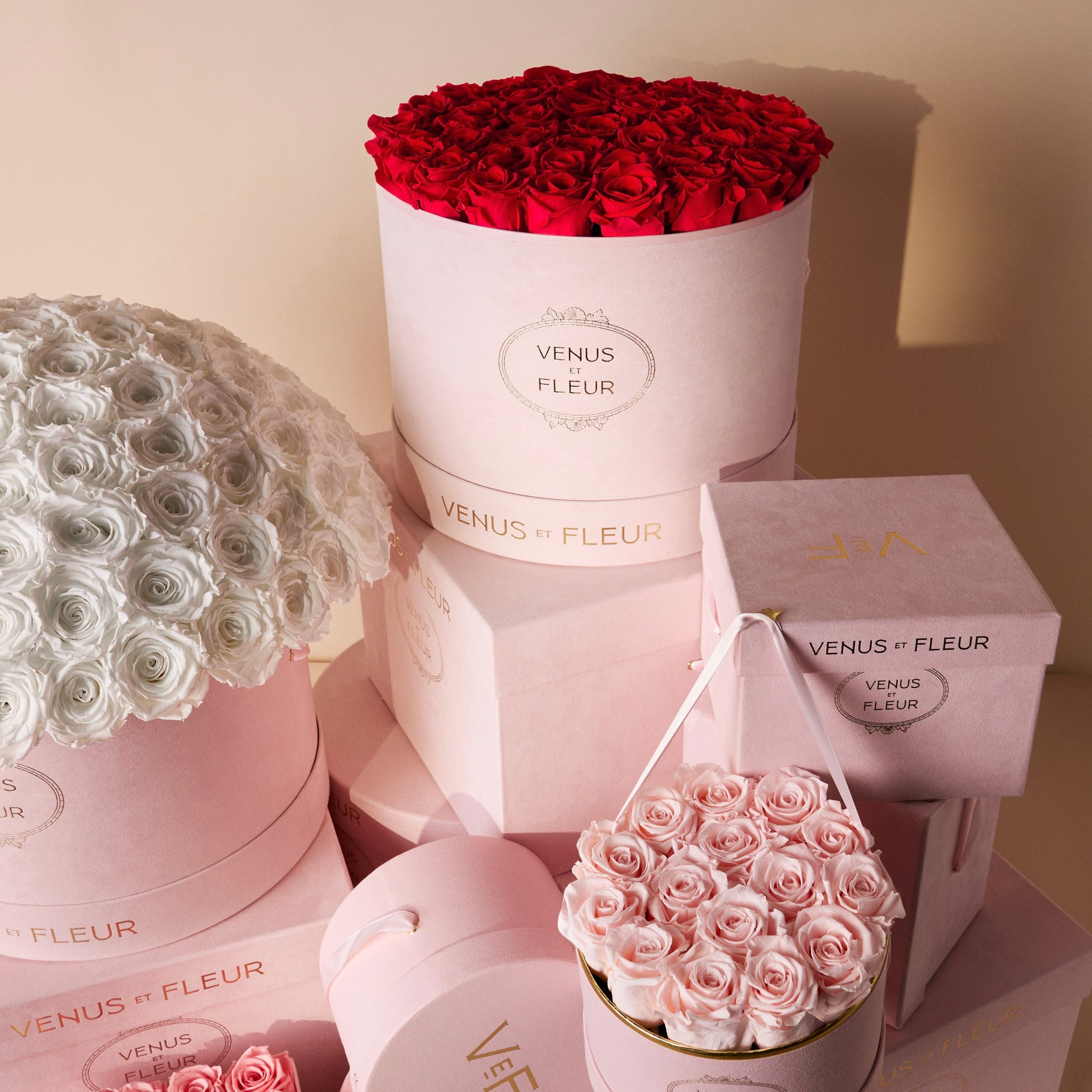 PINKSUEDEHATBOX_Roses_Lifestyle_142_5-scaled-1.jpg