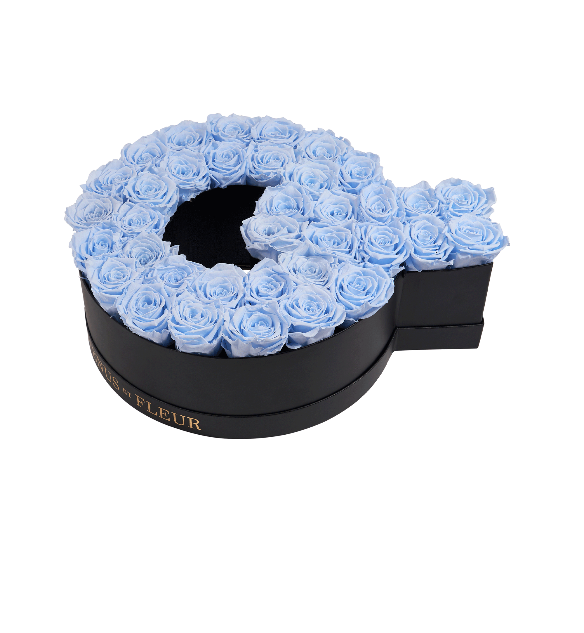 Q_babyblue.png