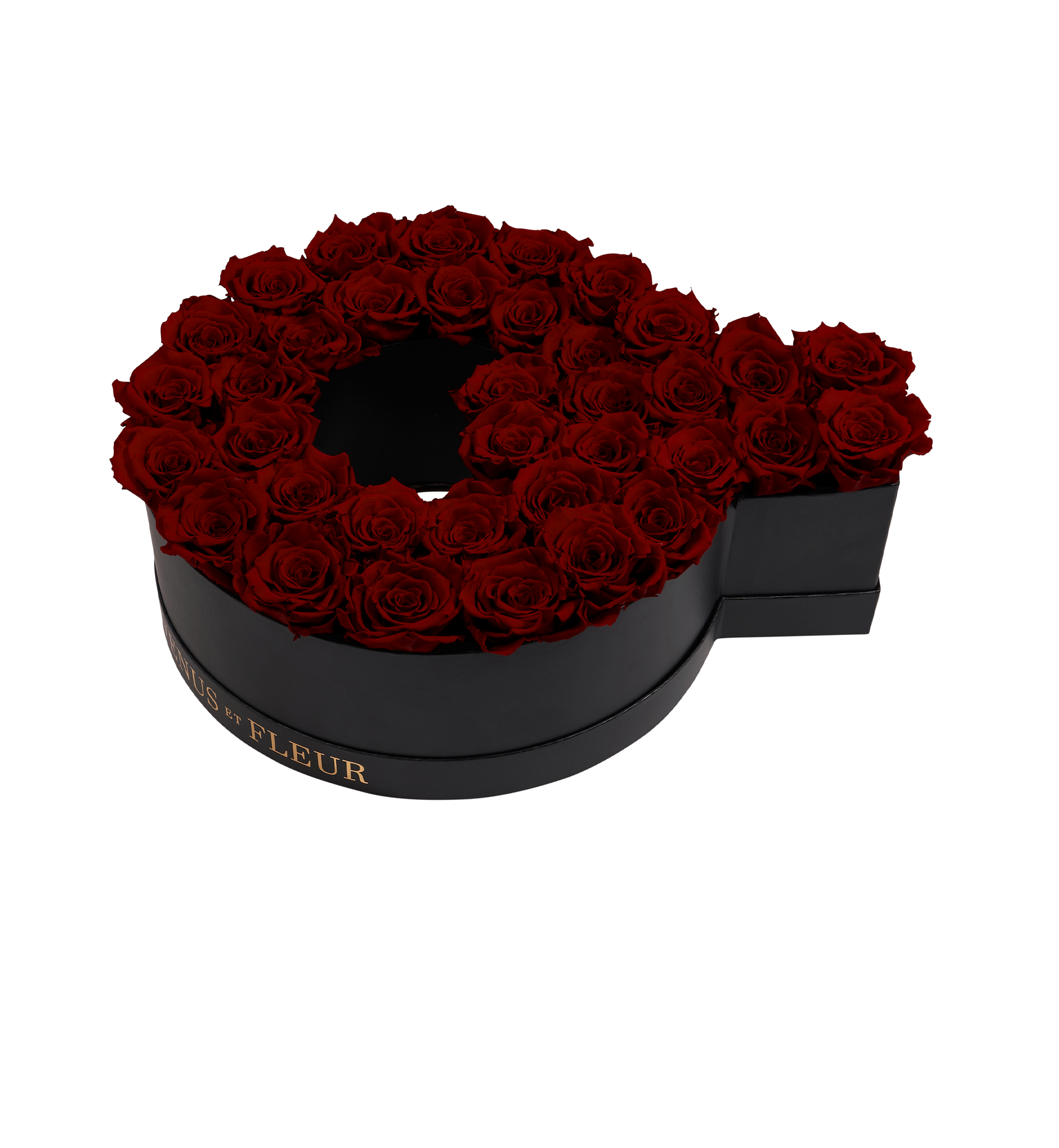 Q_burgundy.png
