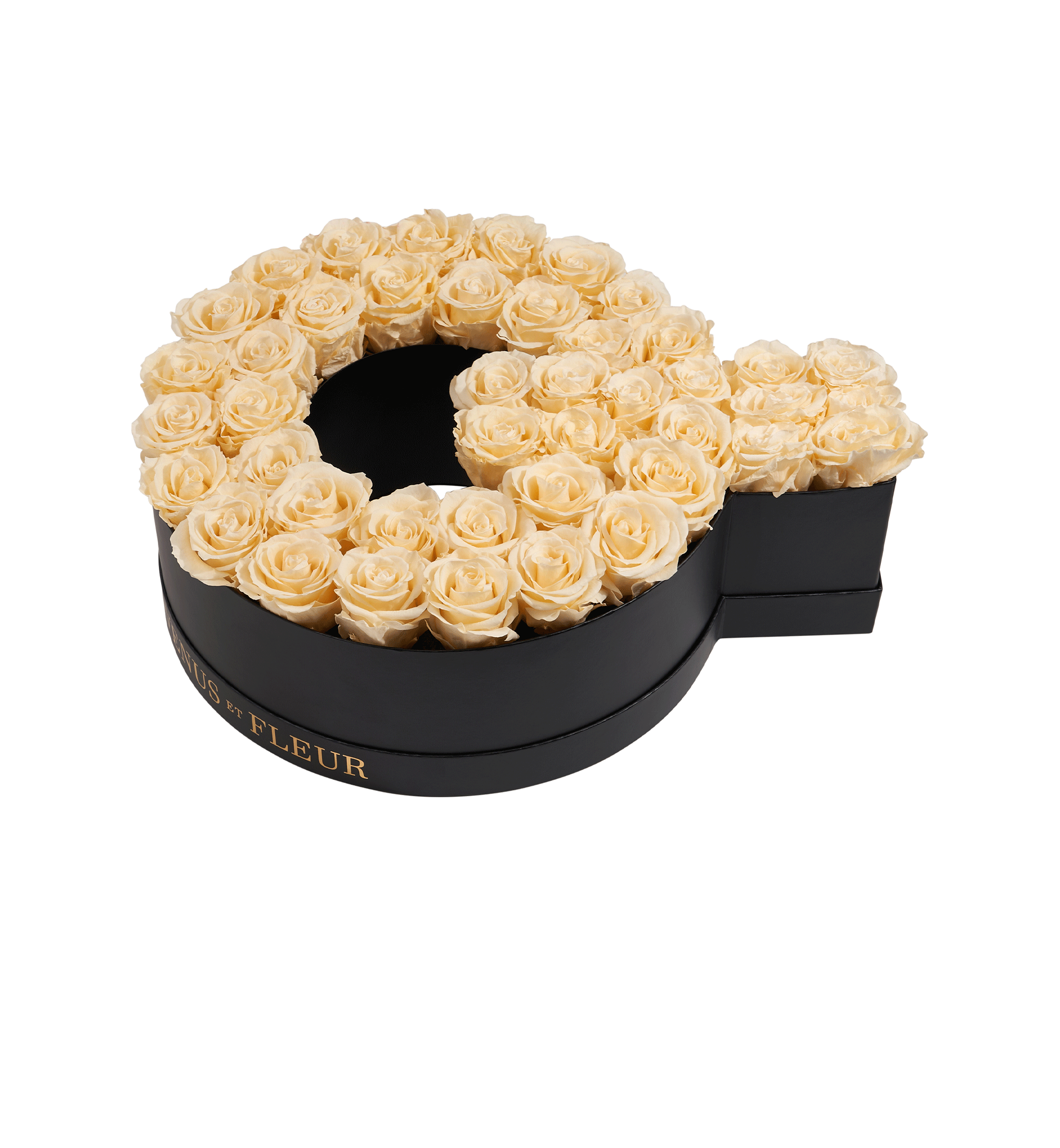 Q_champagne.png