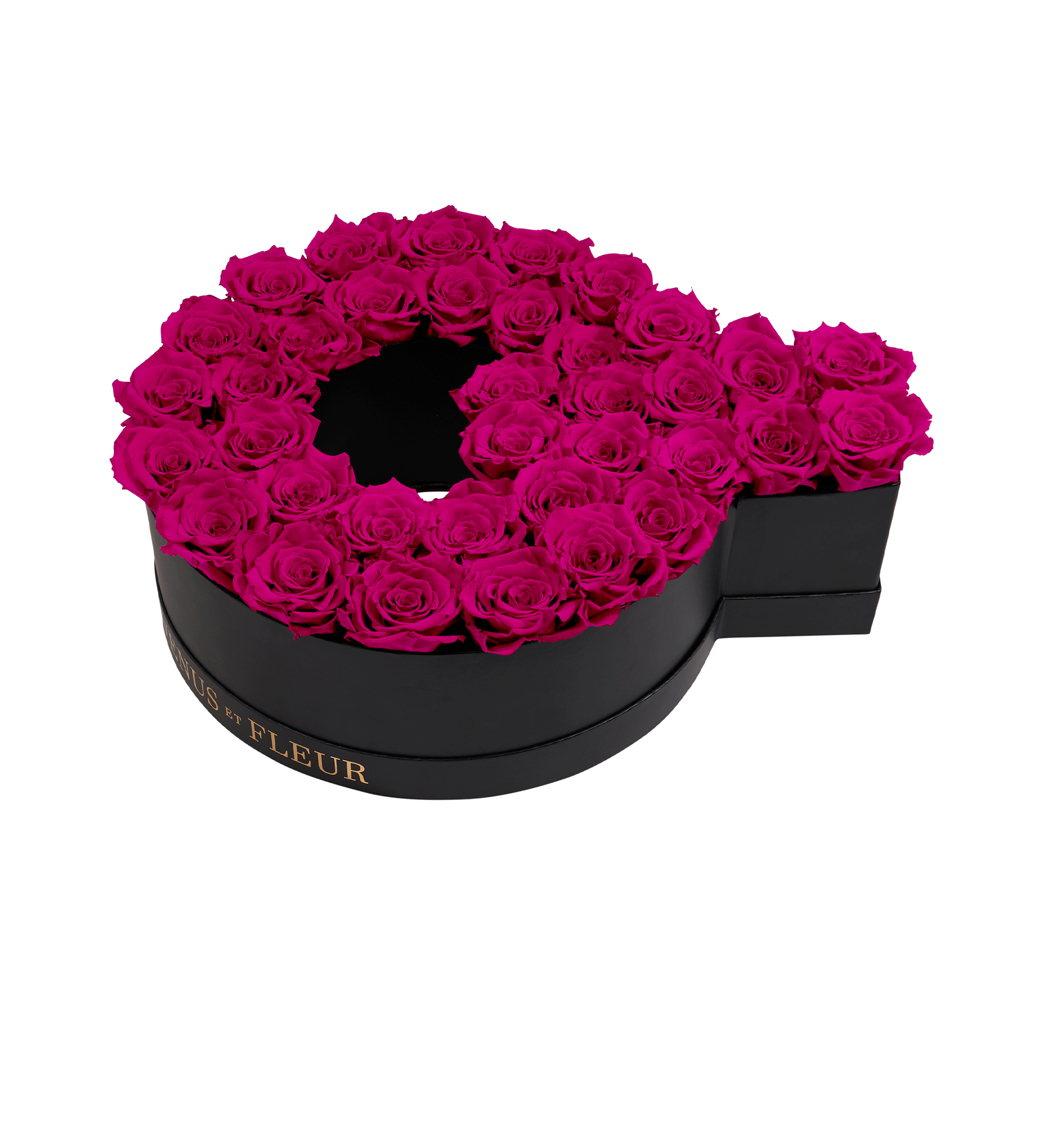 Q_hotpink.png