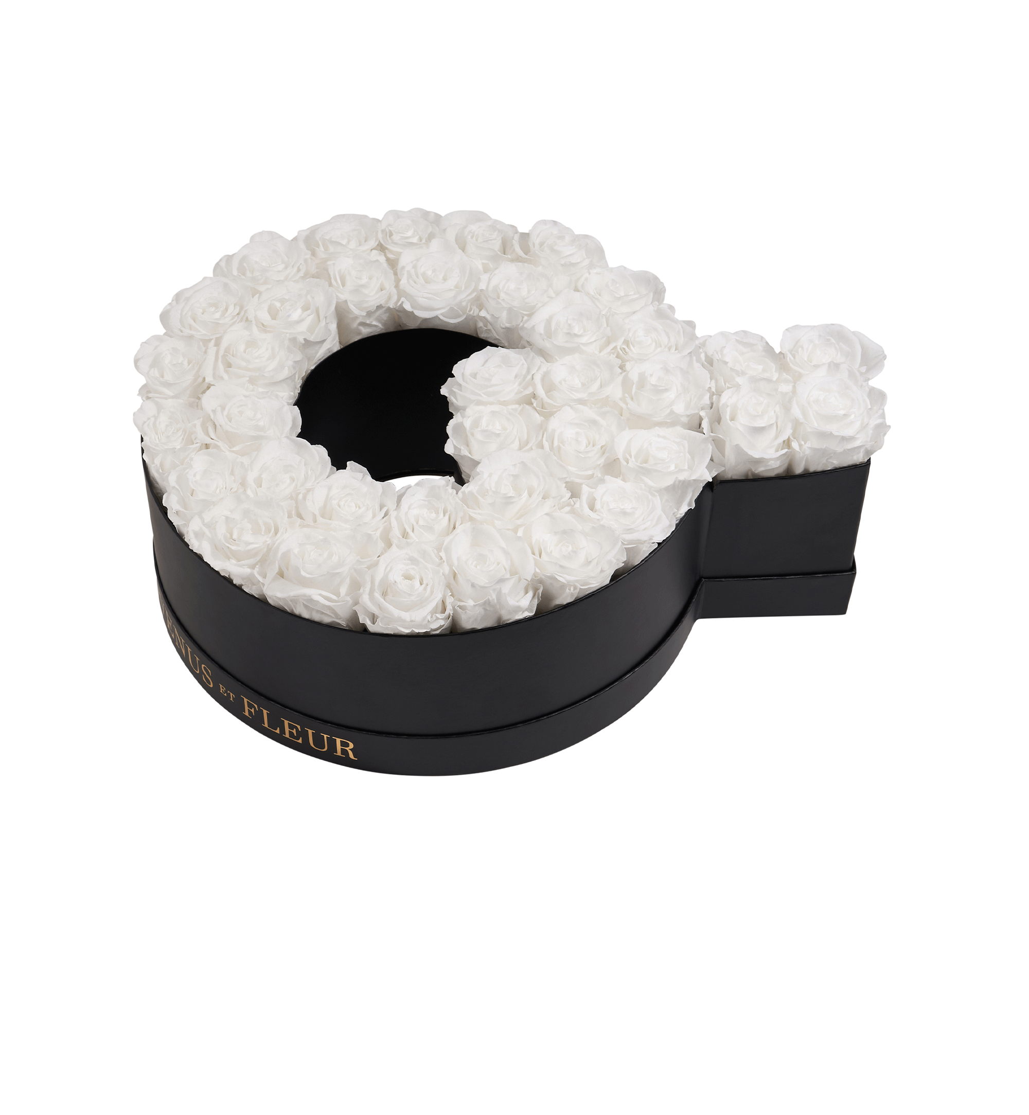 Q_purewhite.png