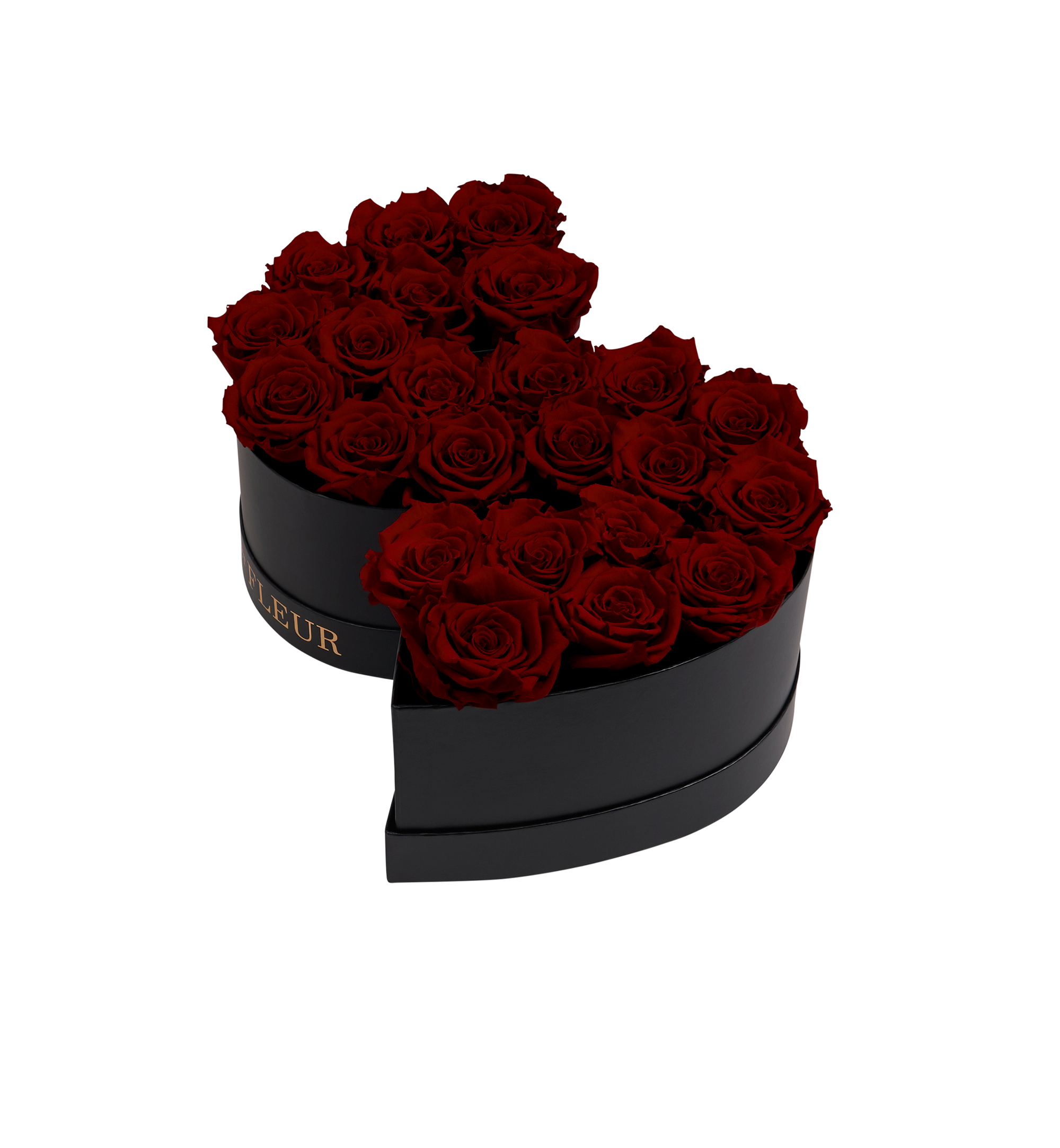 S_burgundy.png