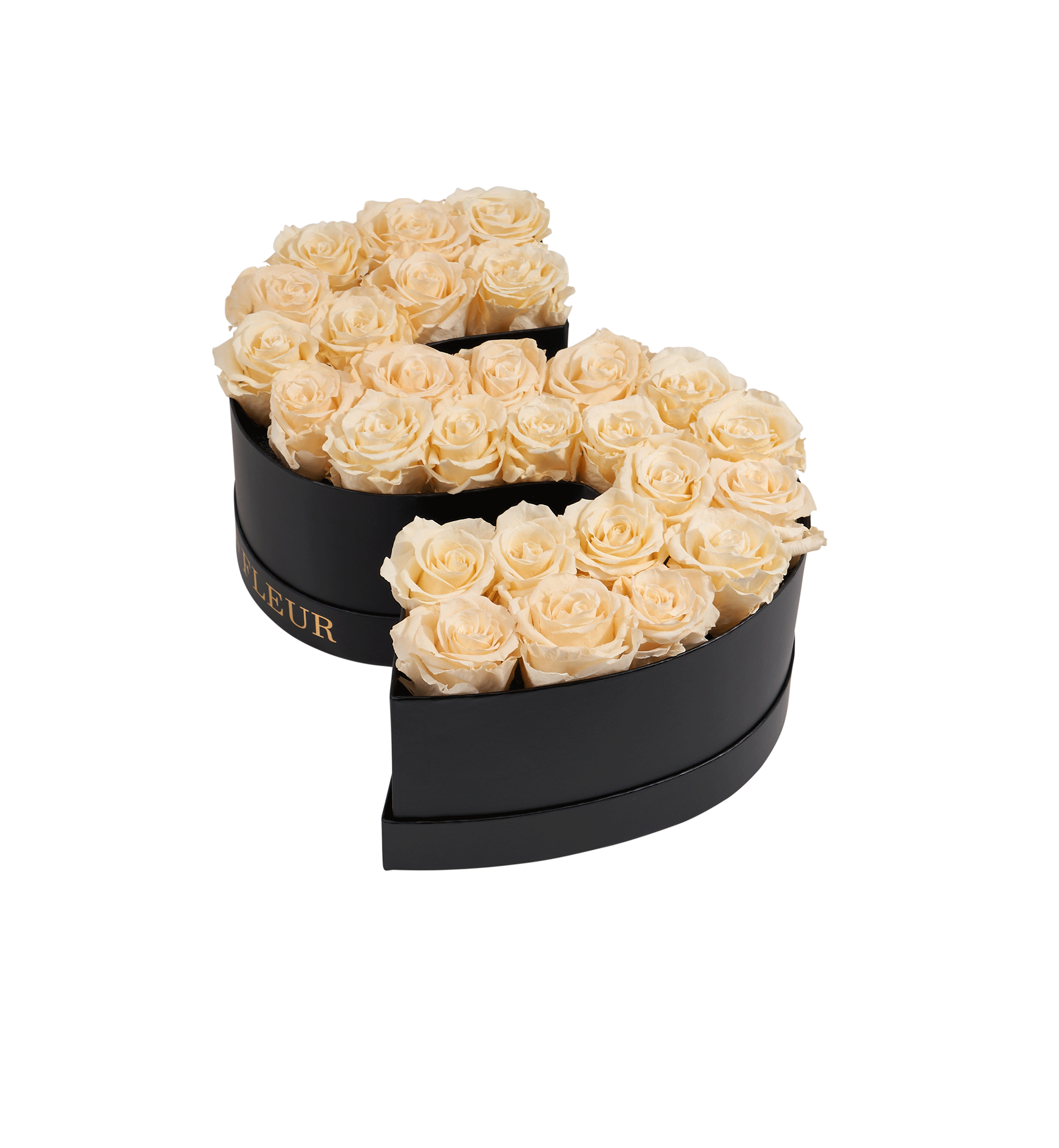 S_champagne.png