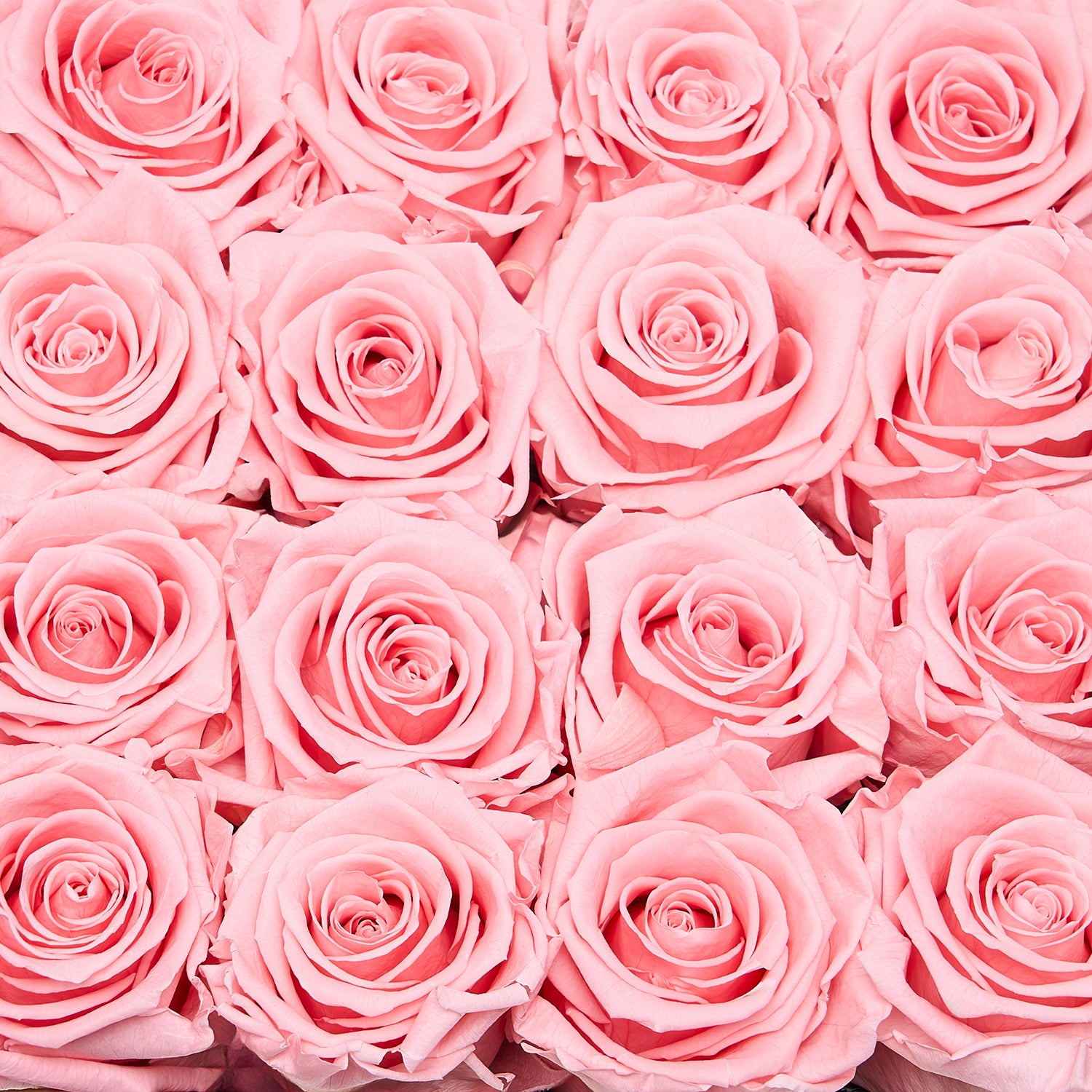 Square_VDay26Small_HeartPhoto_ConchPink_detail1.jpg