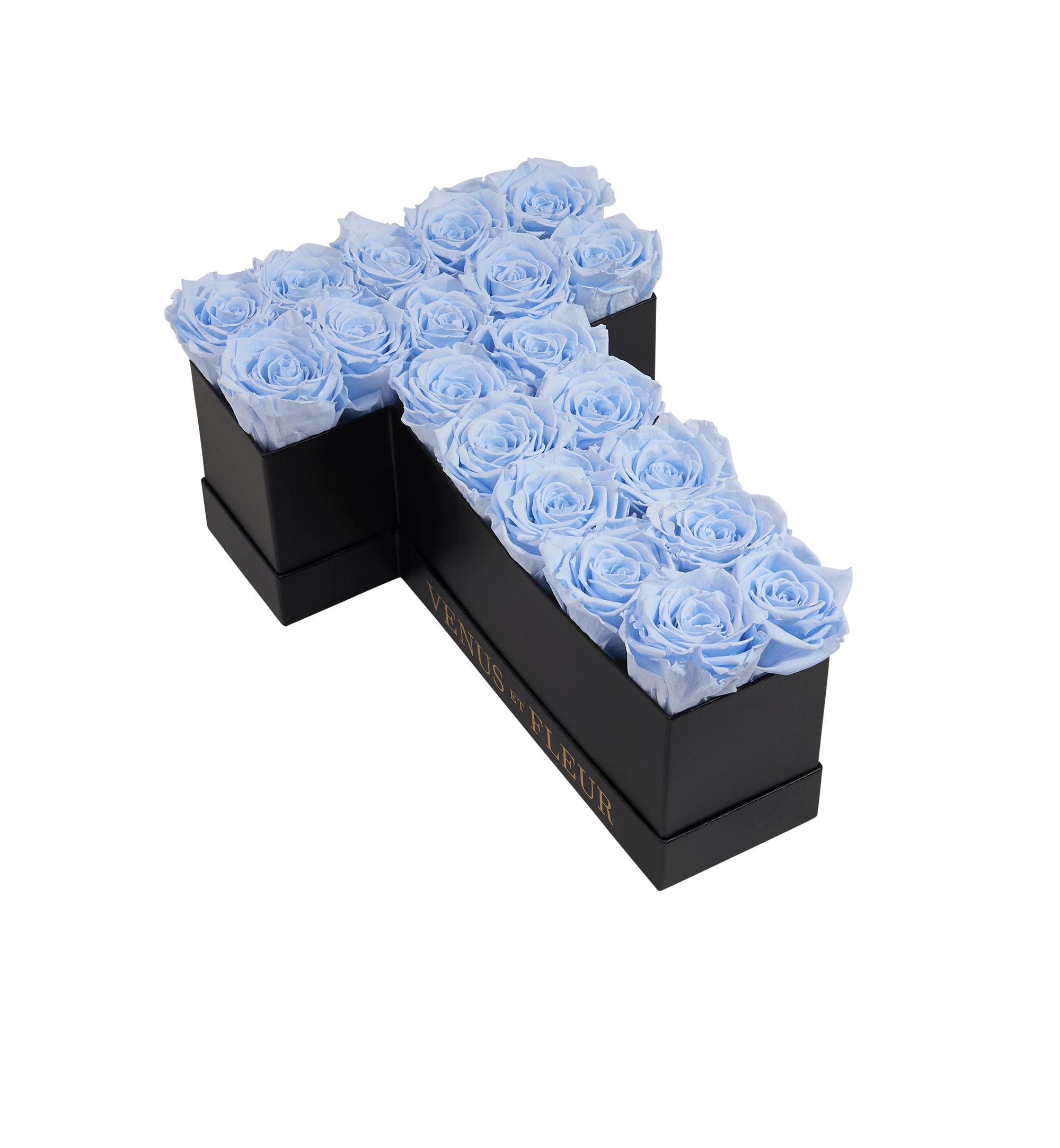 T_babyblue.png