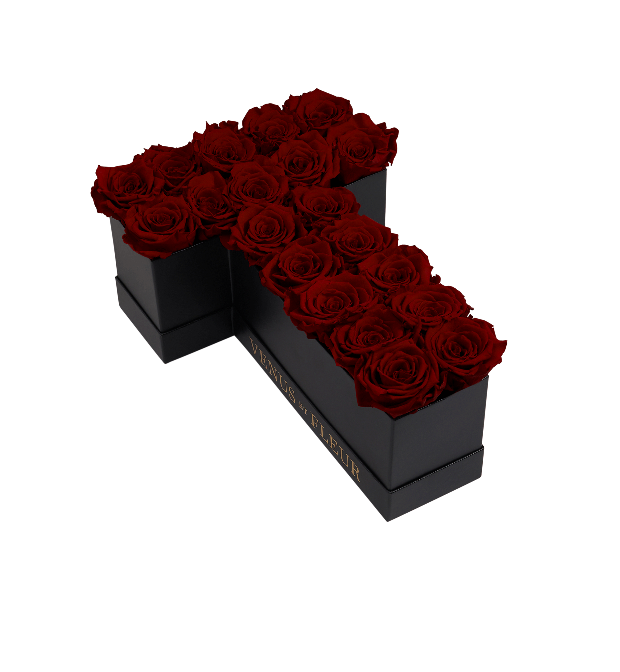 T_burgundy.png