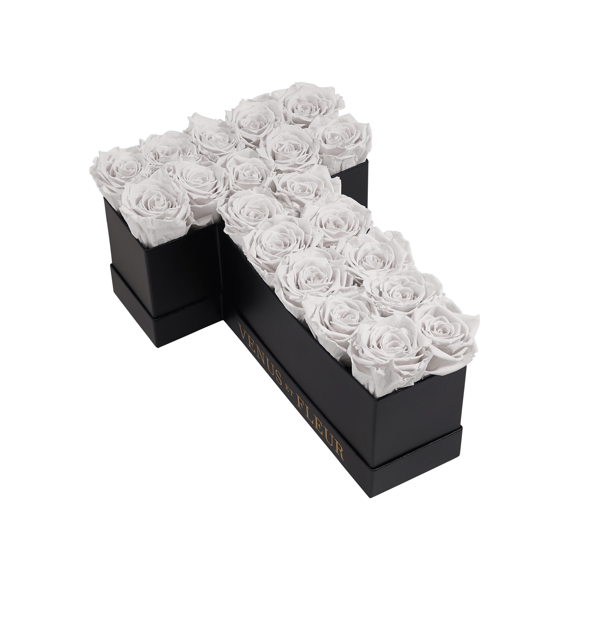 T_grey.png