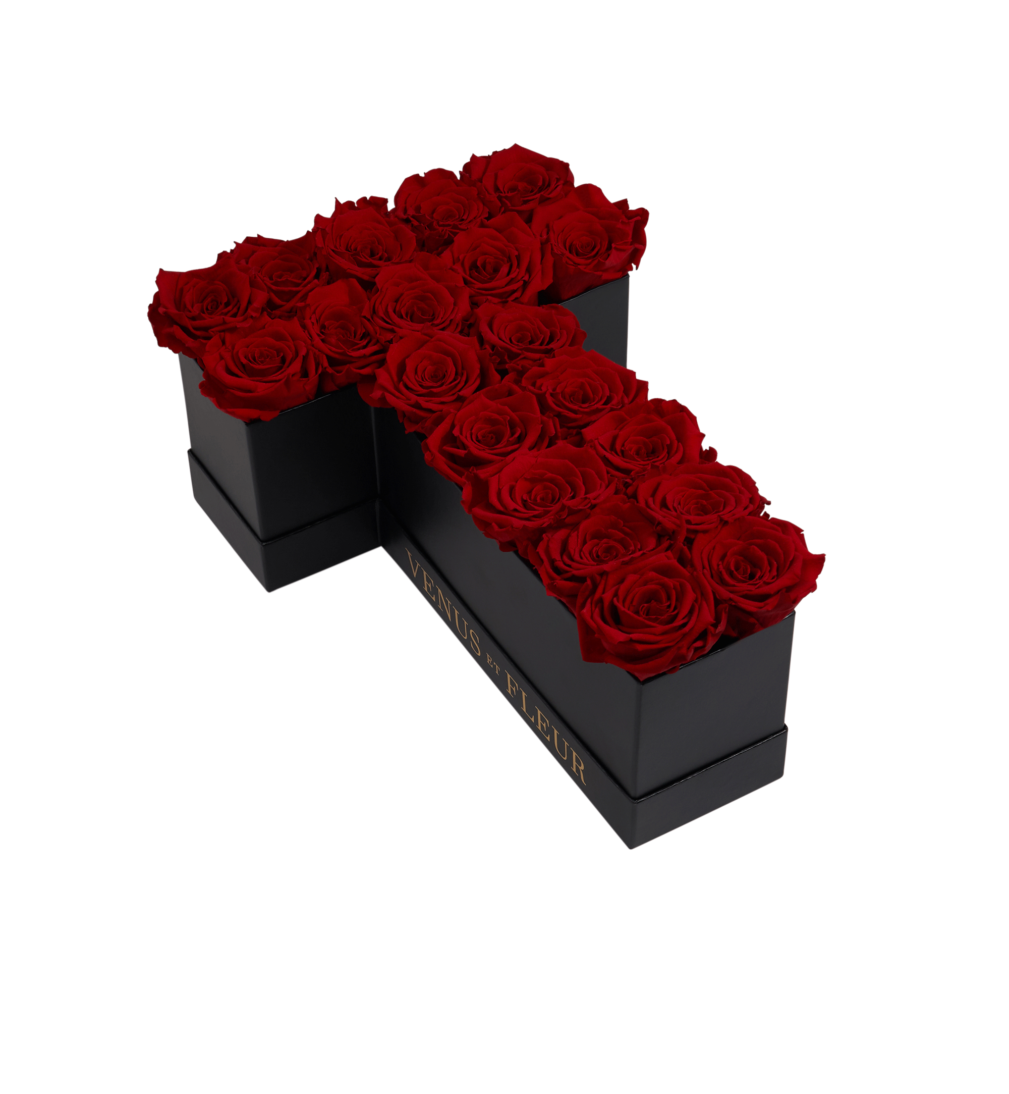 T_red.png
