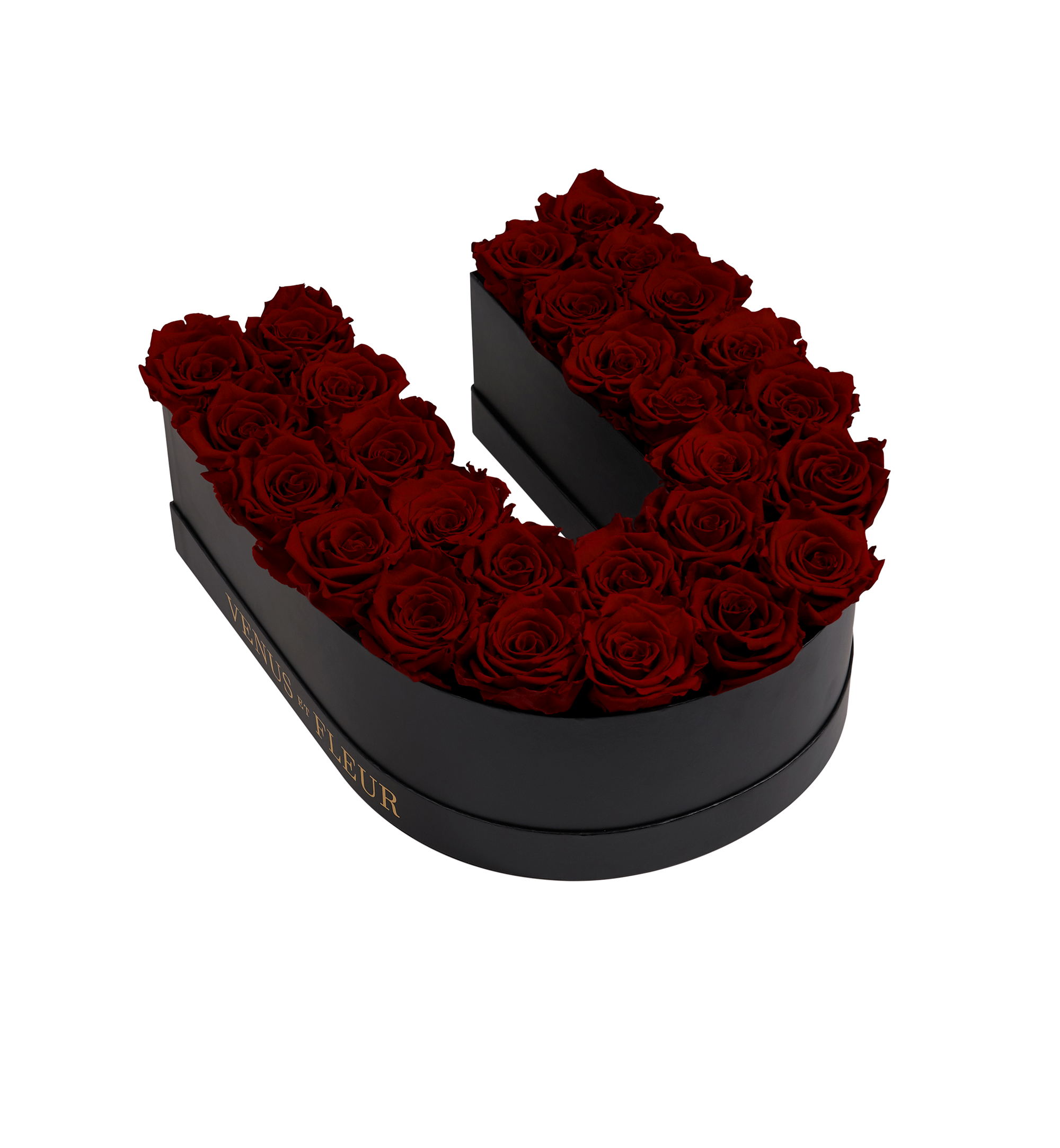 U_burgundy.png