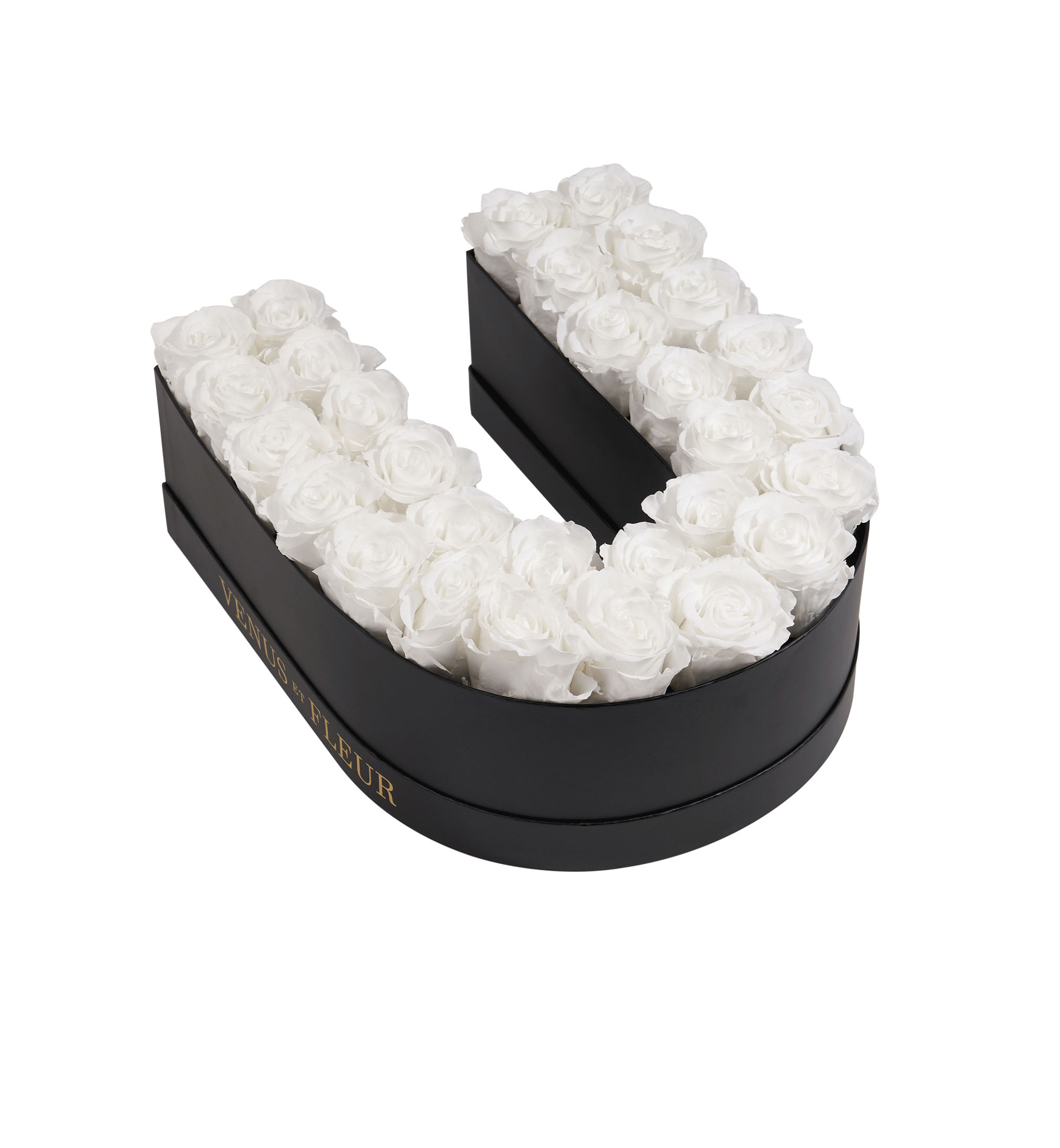 U_purewhite.png
